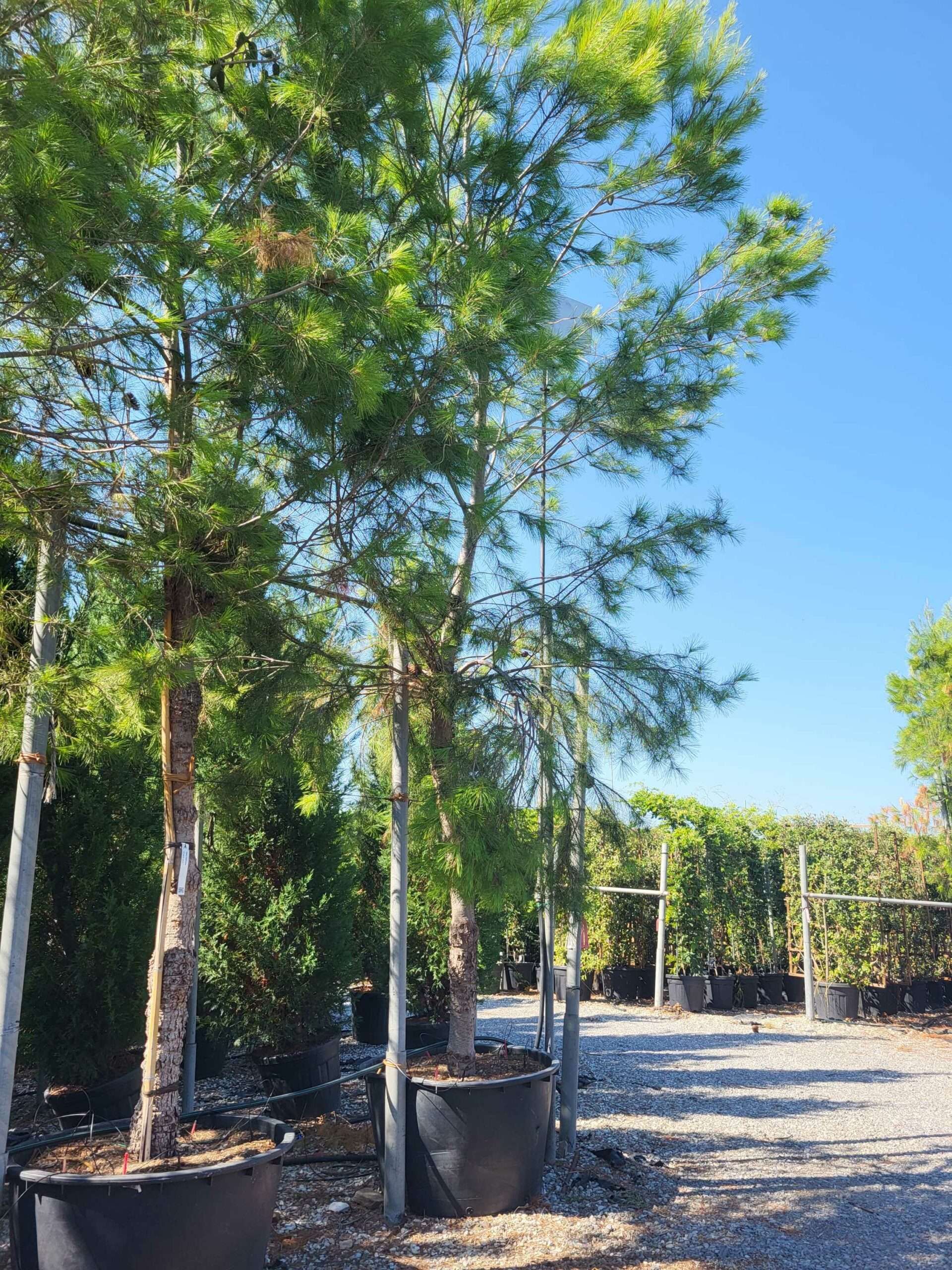 1692693799 scaled 172a6167