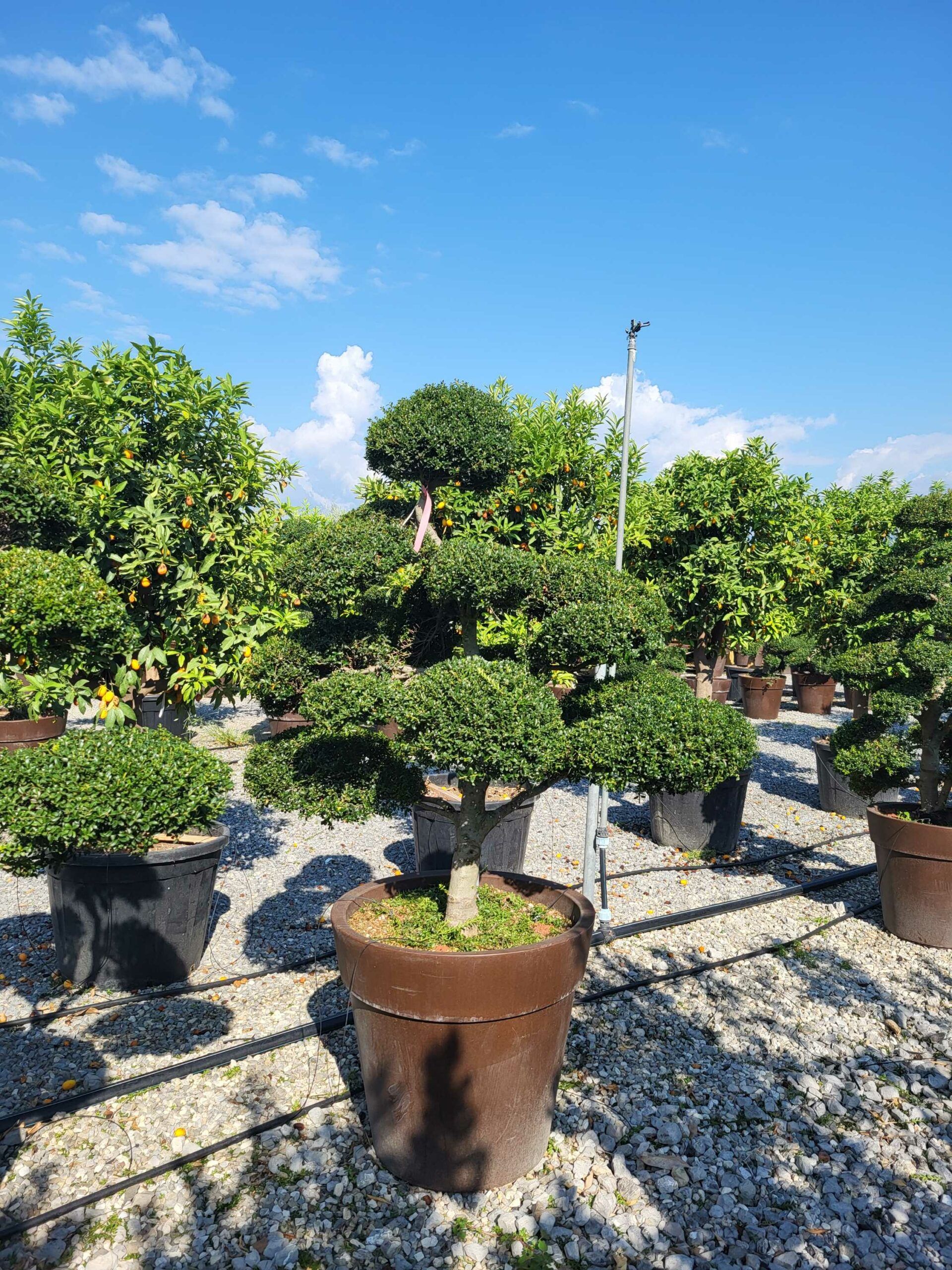 1694766447 scaled 177be494