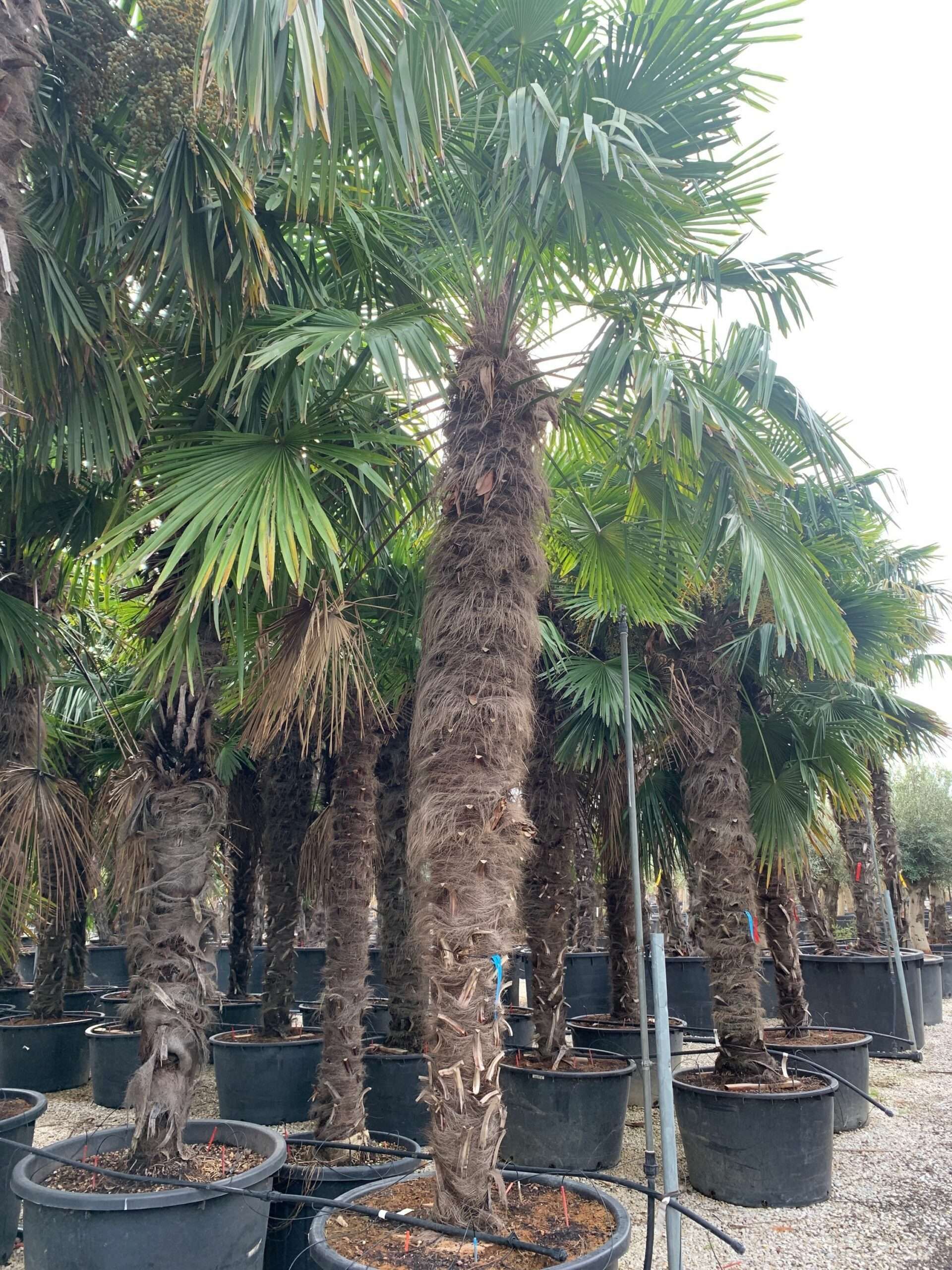 1636101274 scaled 186fc4da