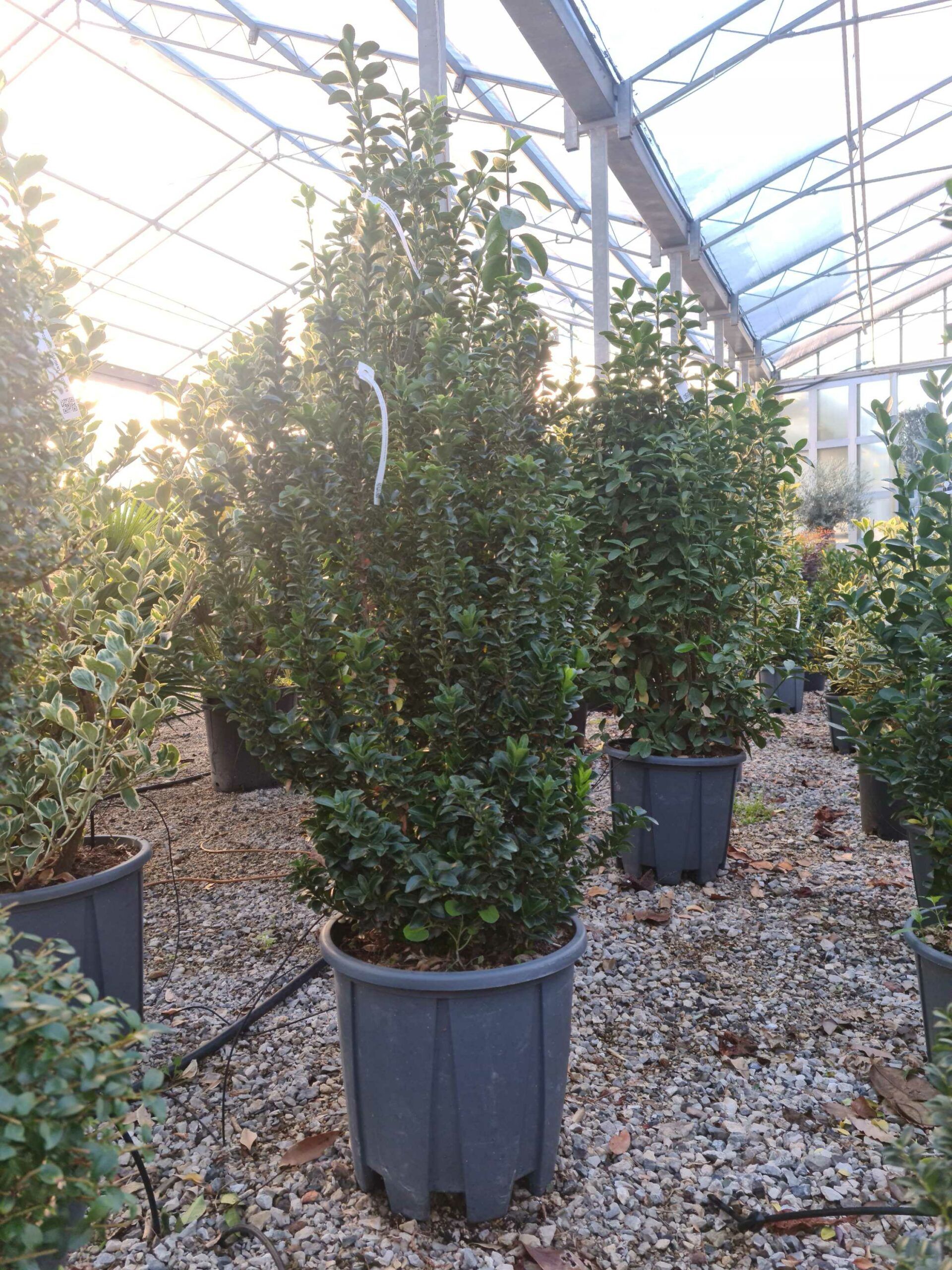 1639468787 scaled 18da2800