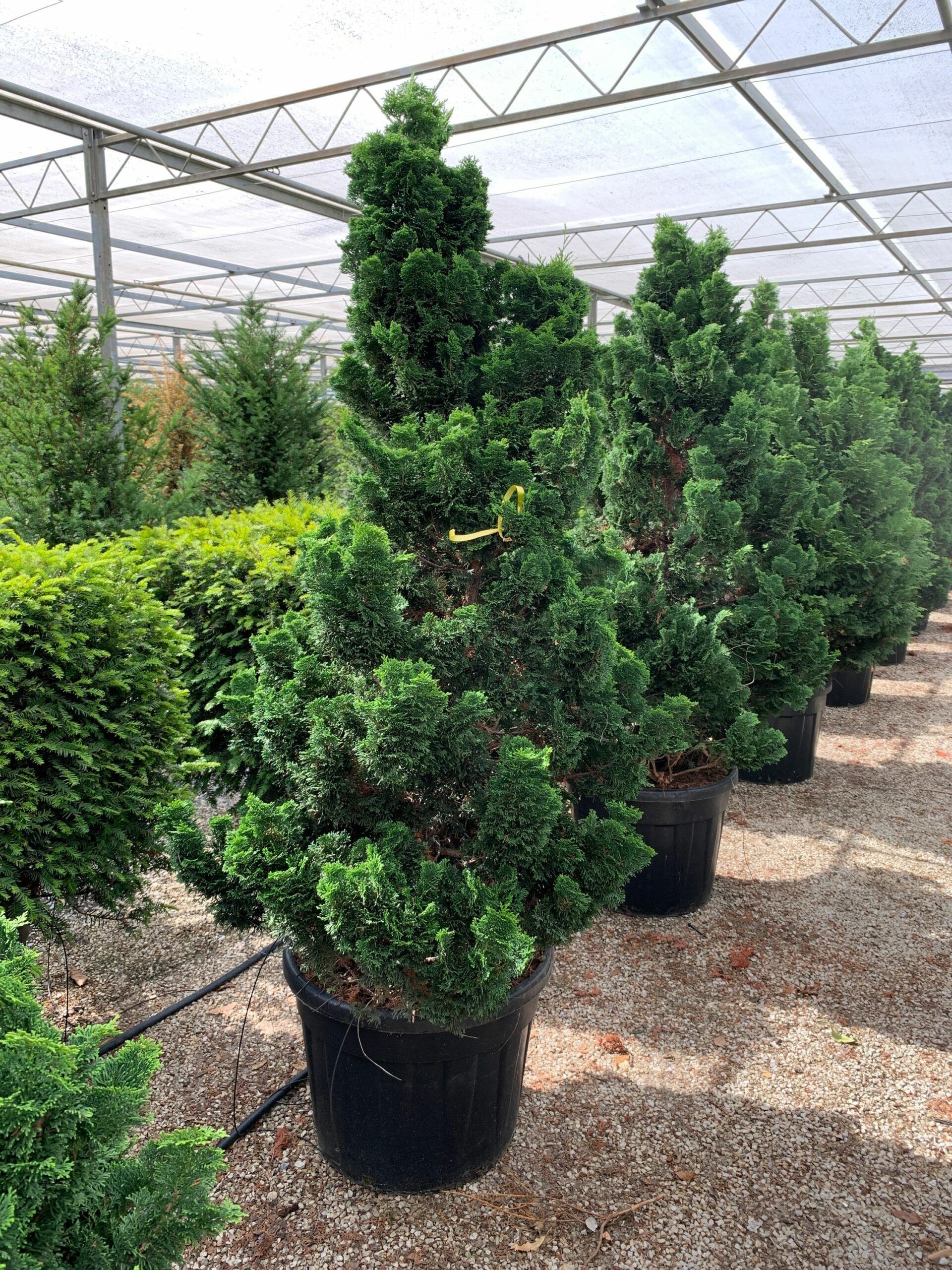 1657526287 scaled 187c4869