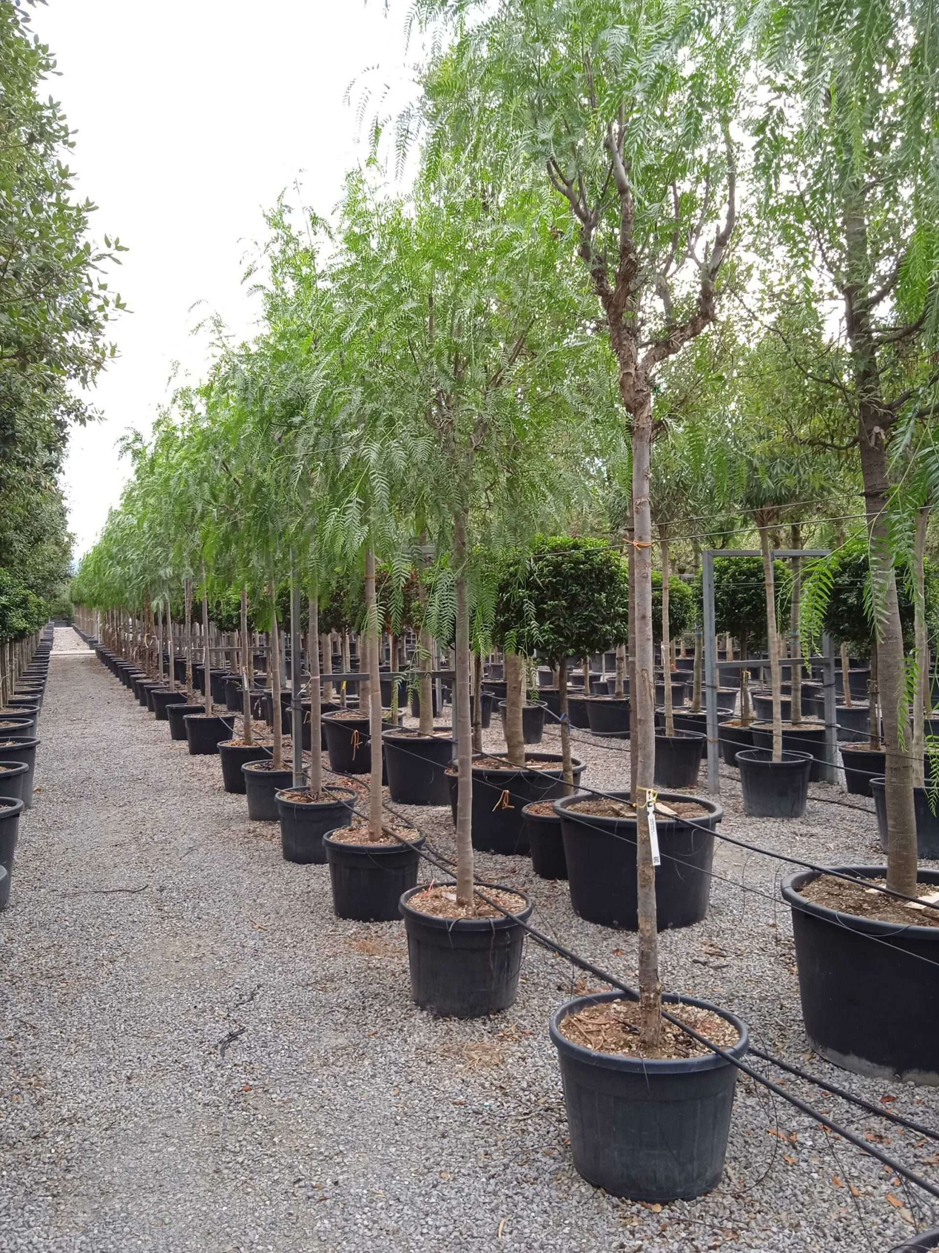 1661871370 scaled 1829b1bd