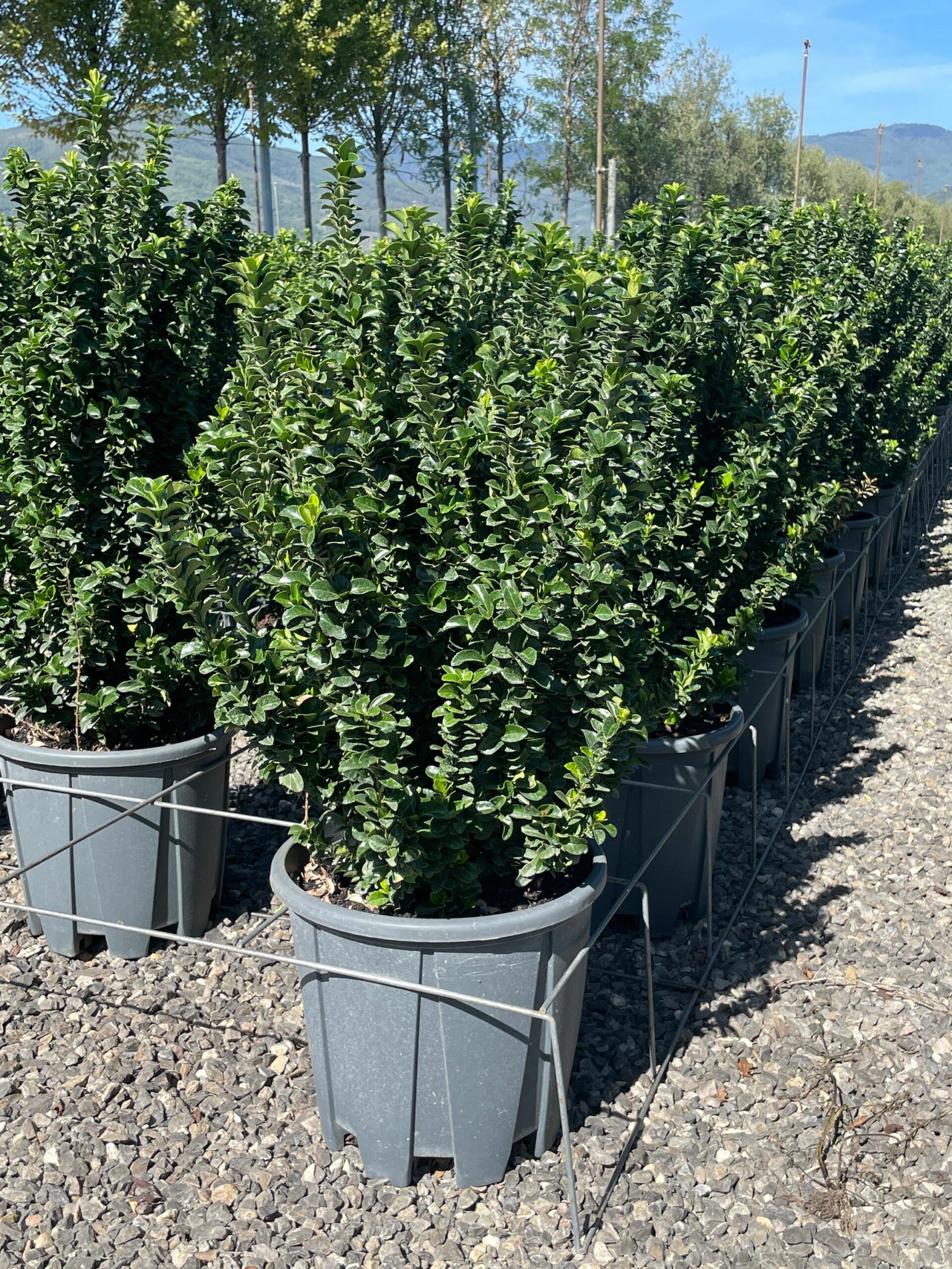 1663072968 scaled 18a109a1