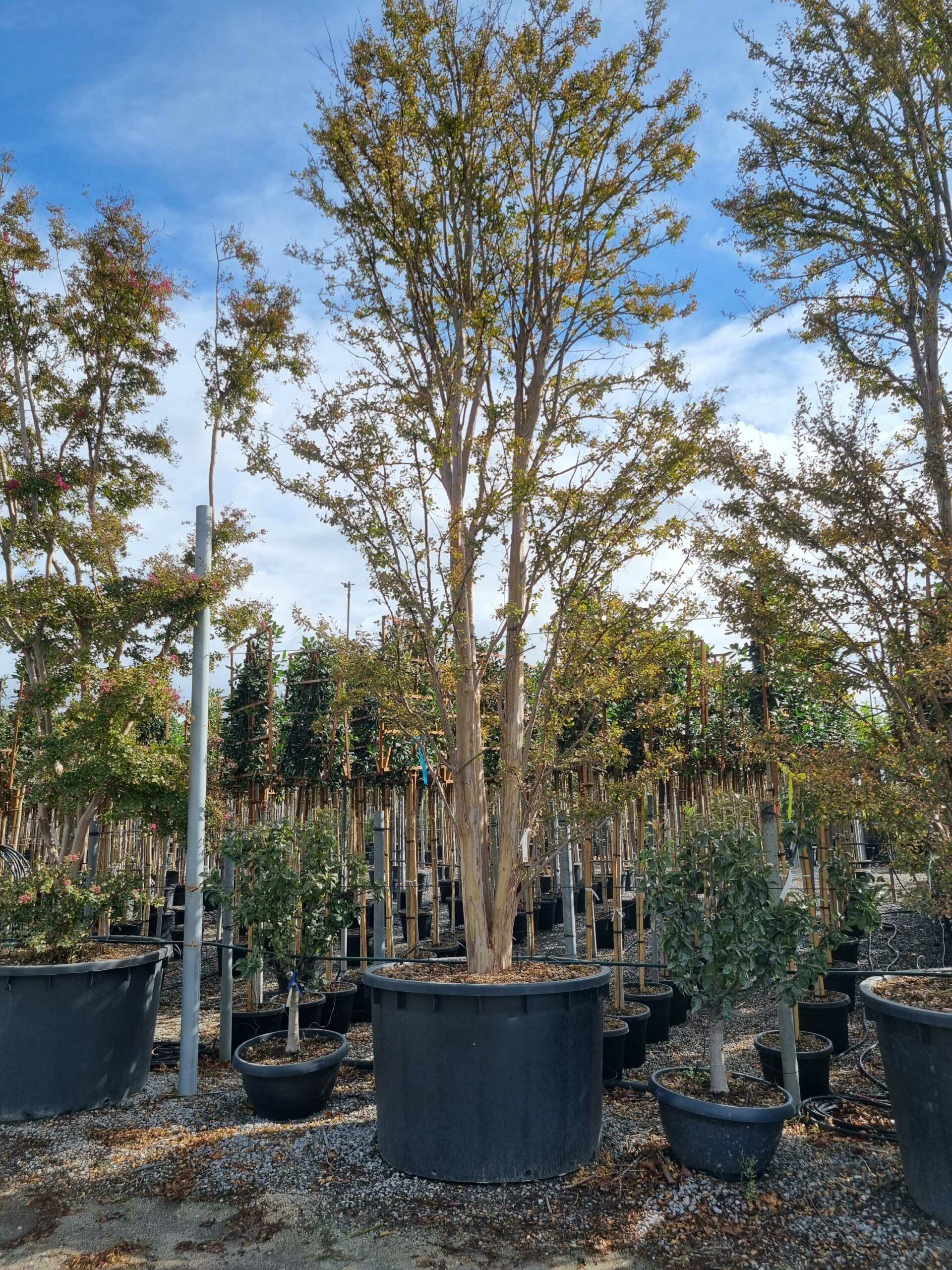 1664440761 scaled 1887a552