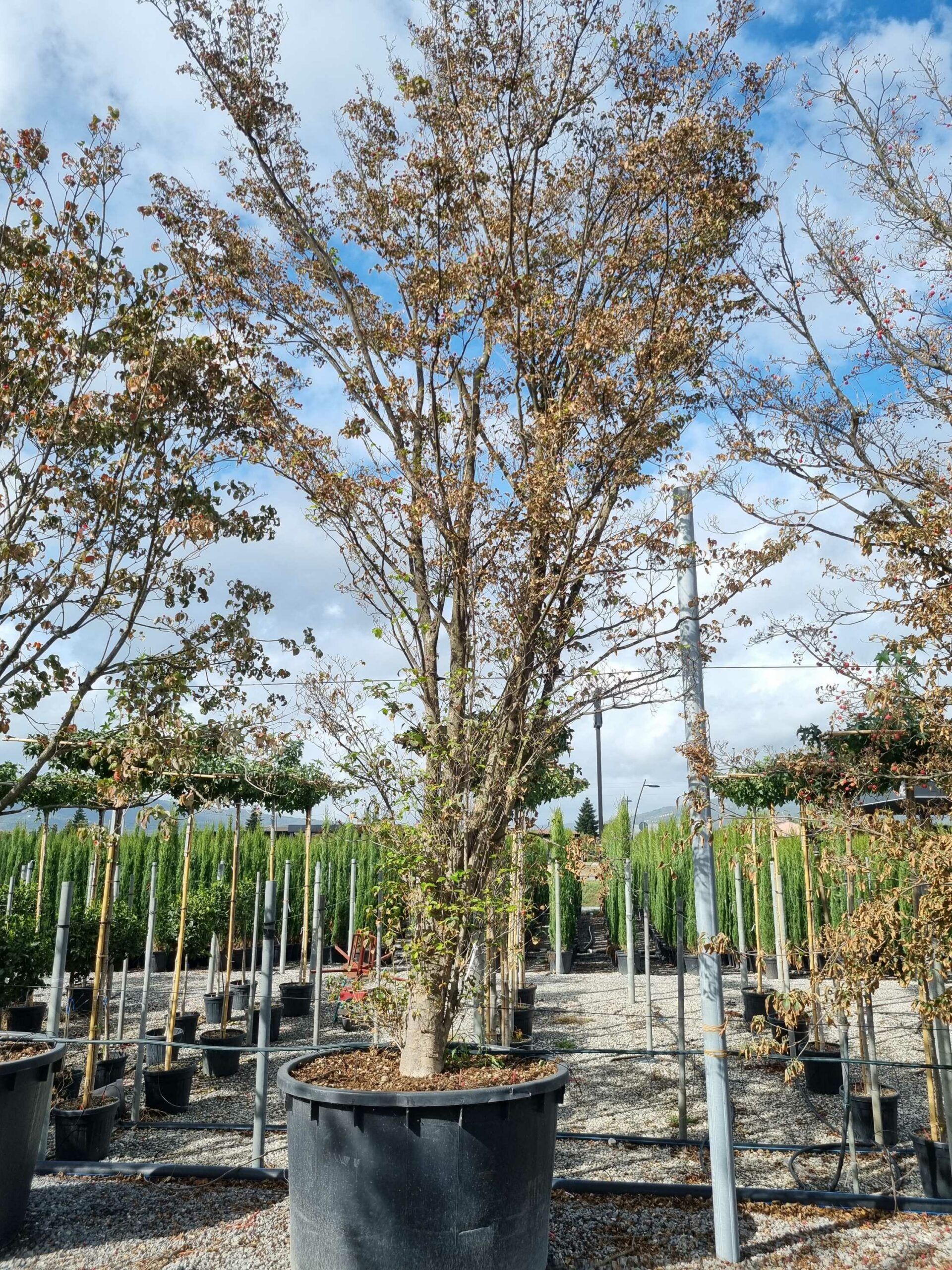 1664441514 scaled 183b037c