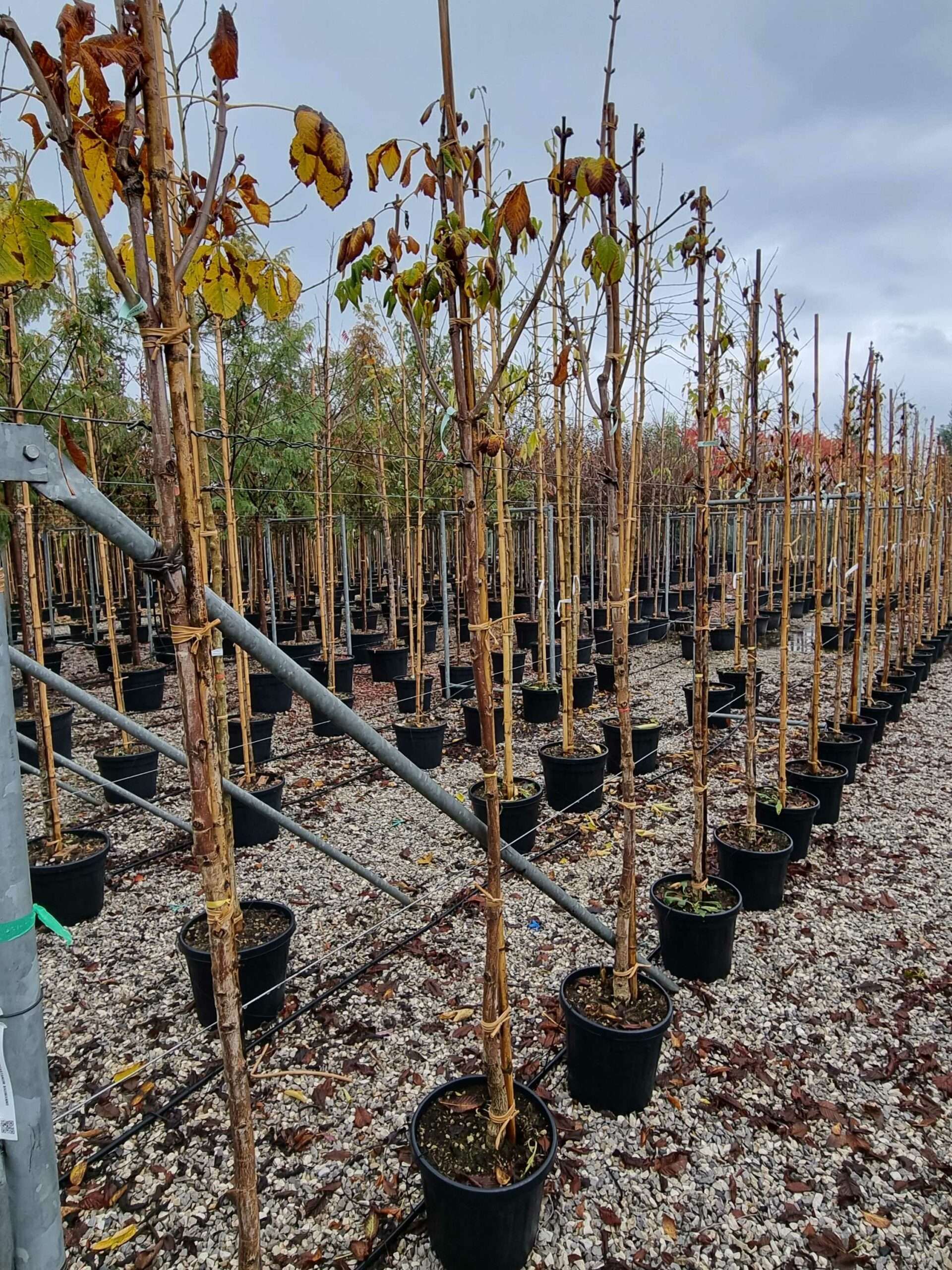 1668690142 scaled 1892f59b