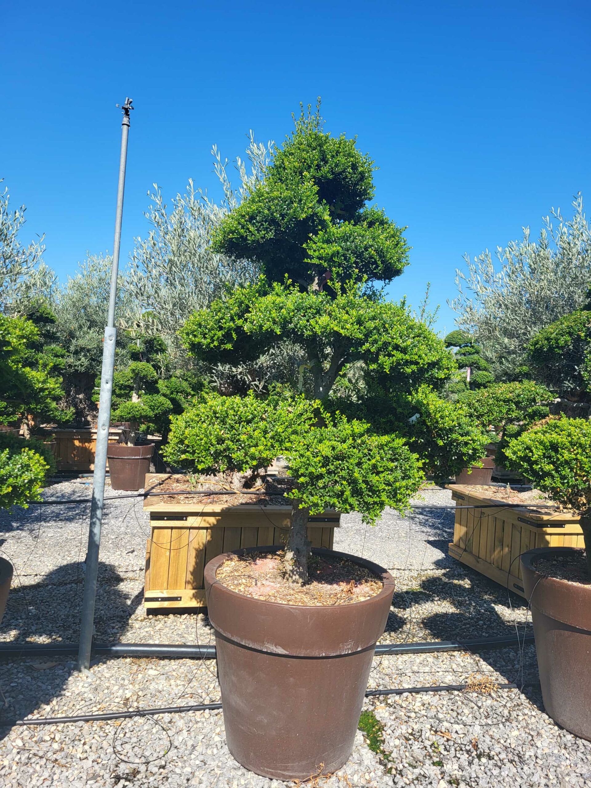 1691655931 scaled 184b668c