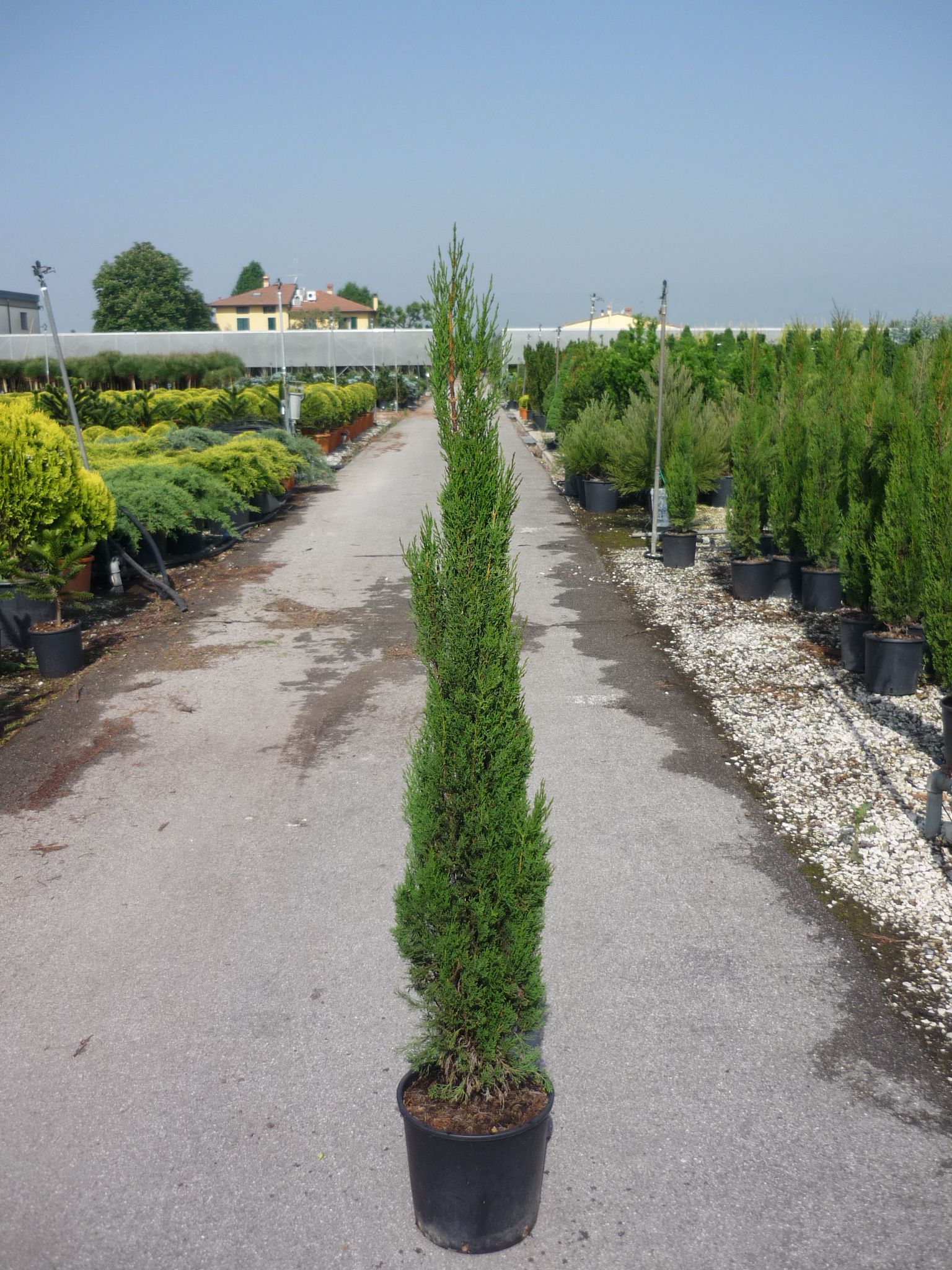 1637252615 1608560711 1949133c