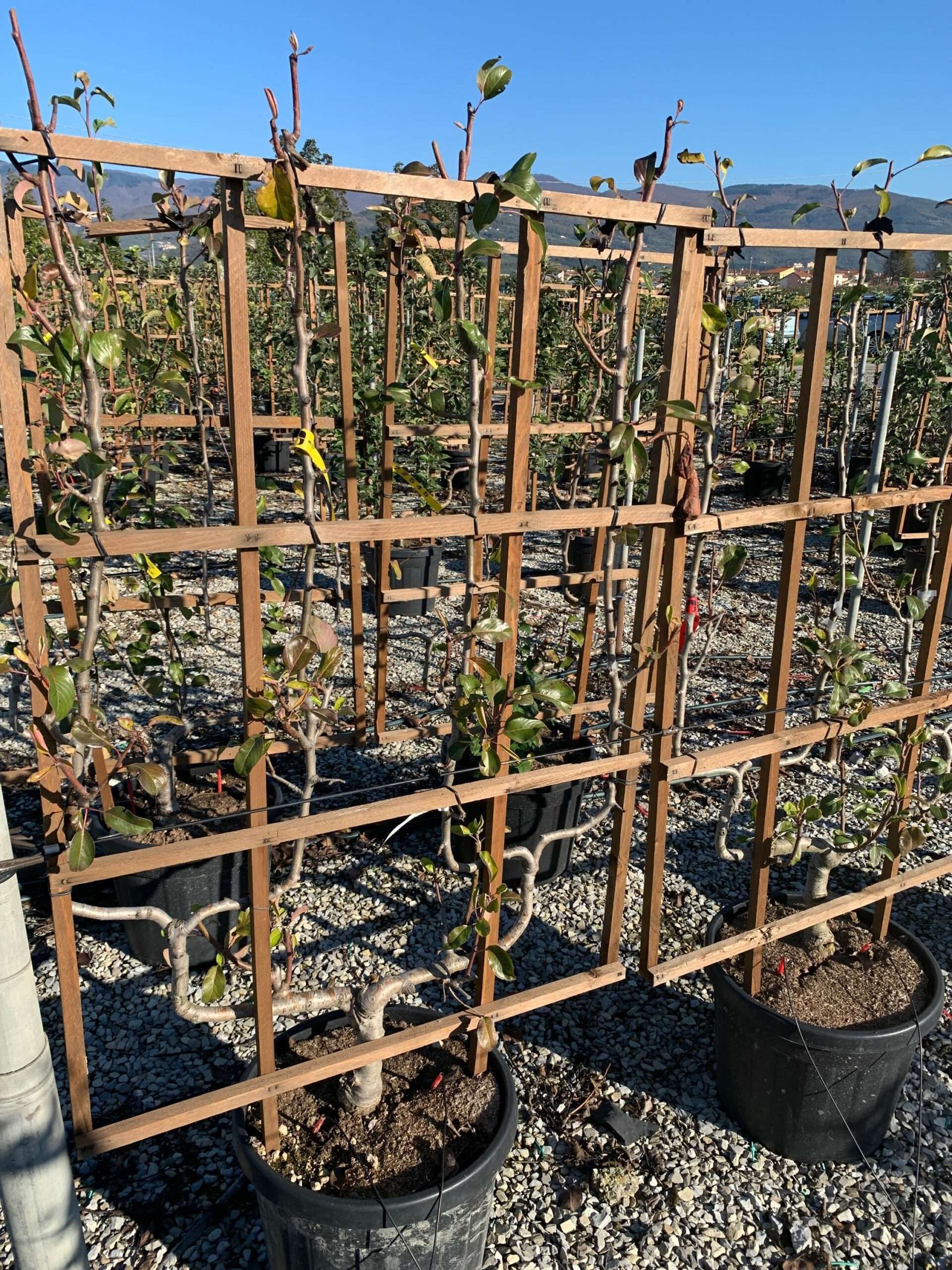 1637746343 scaled 19b2e66f