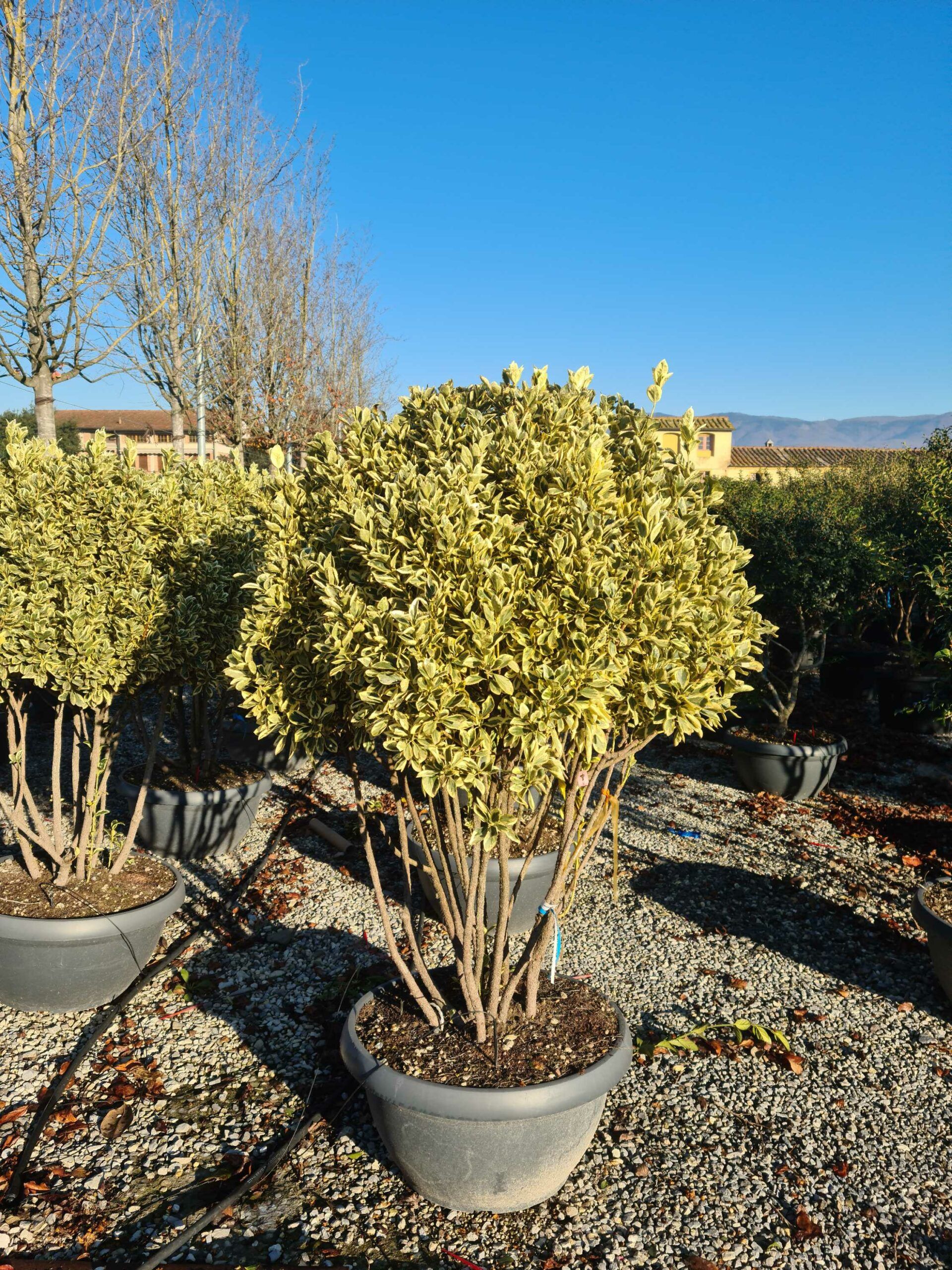 1639817139 scaled 190ce892