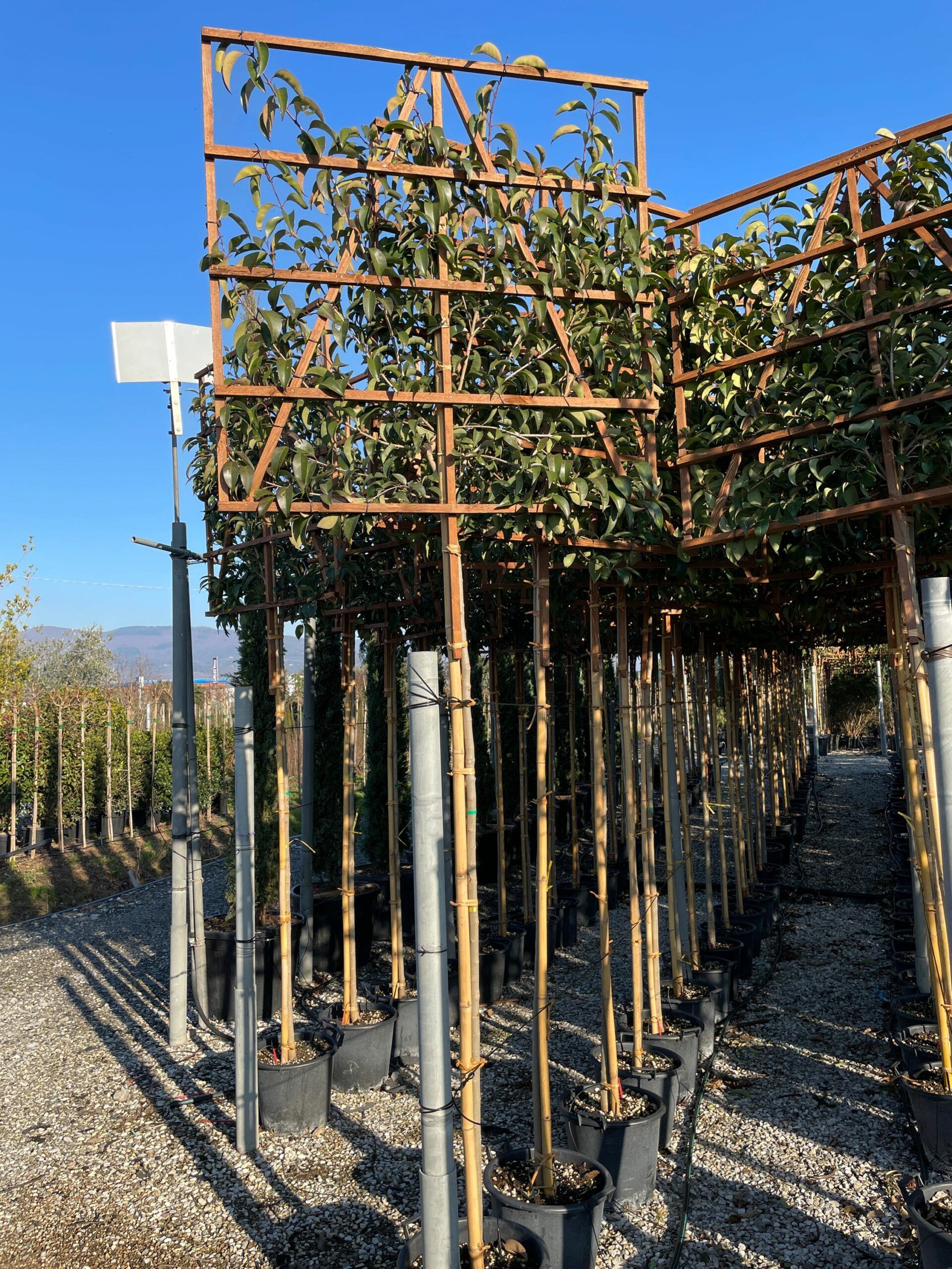 1643118744 scaled 190c4aa5