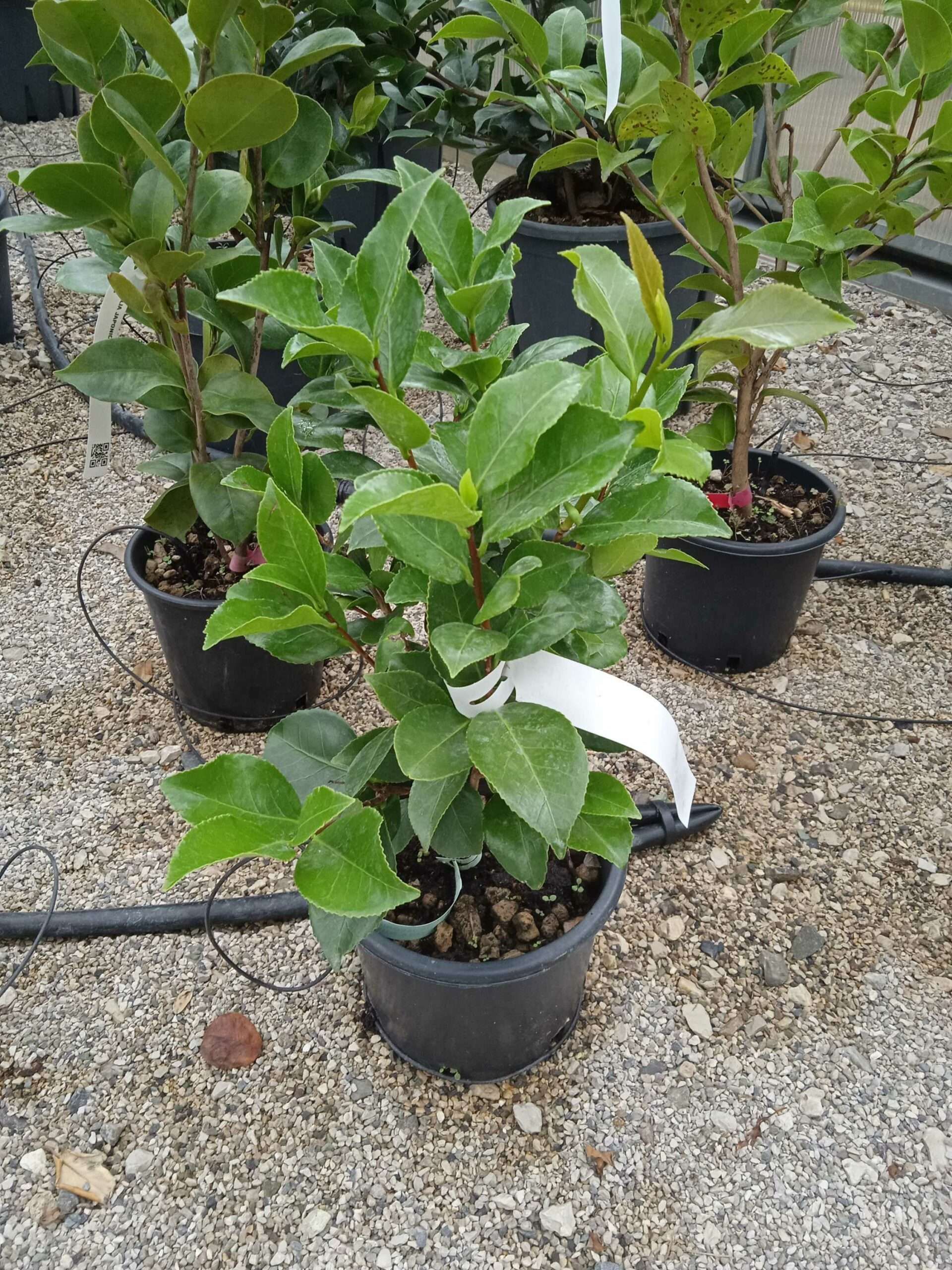 1662188483 scaled 19f6b17f