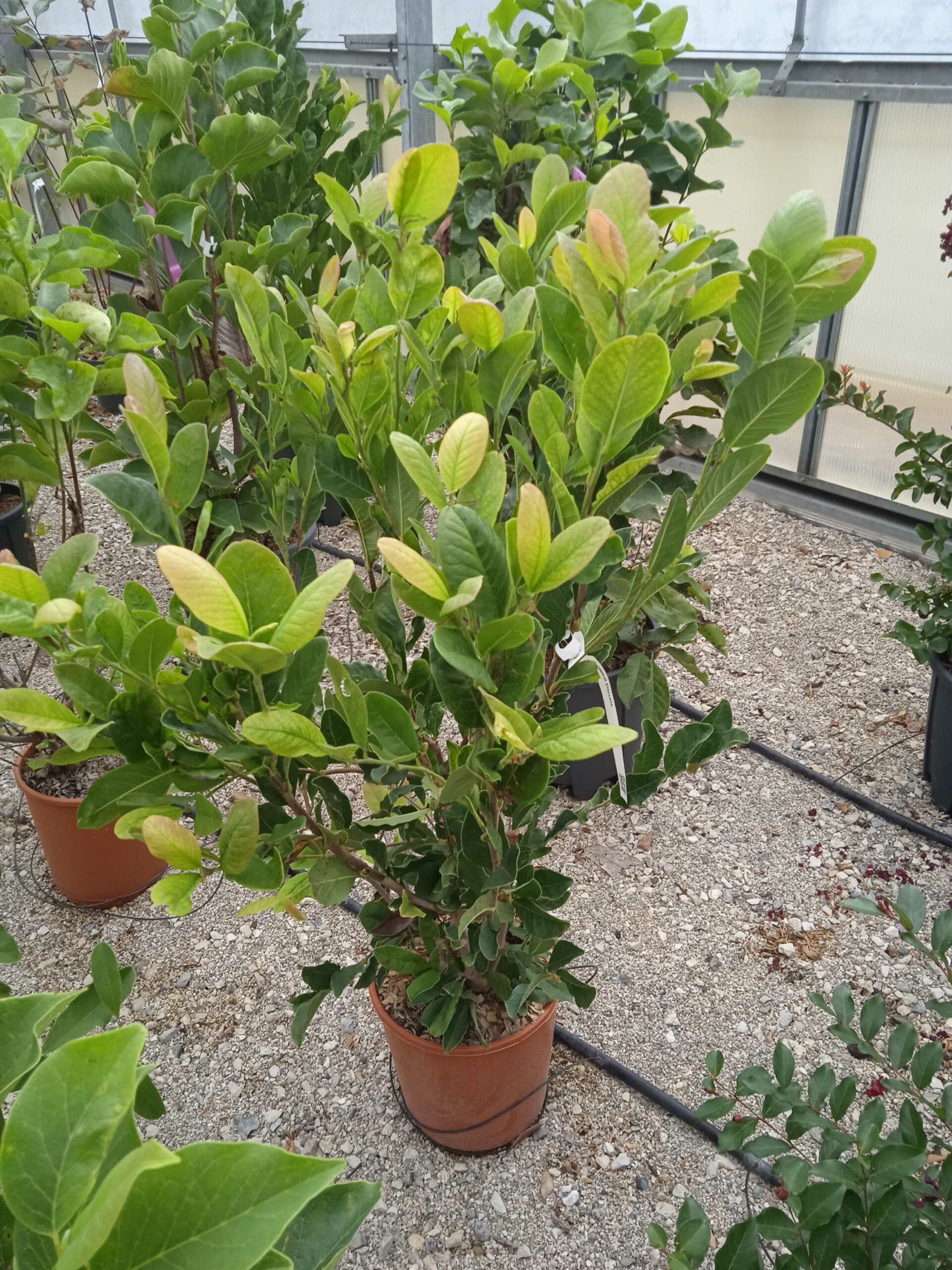 1662189951 scaled 19285620