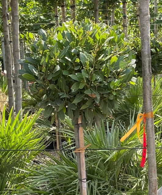 1662213373 IMG 2853 198c9830