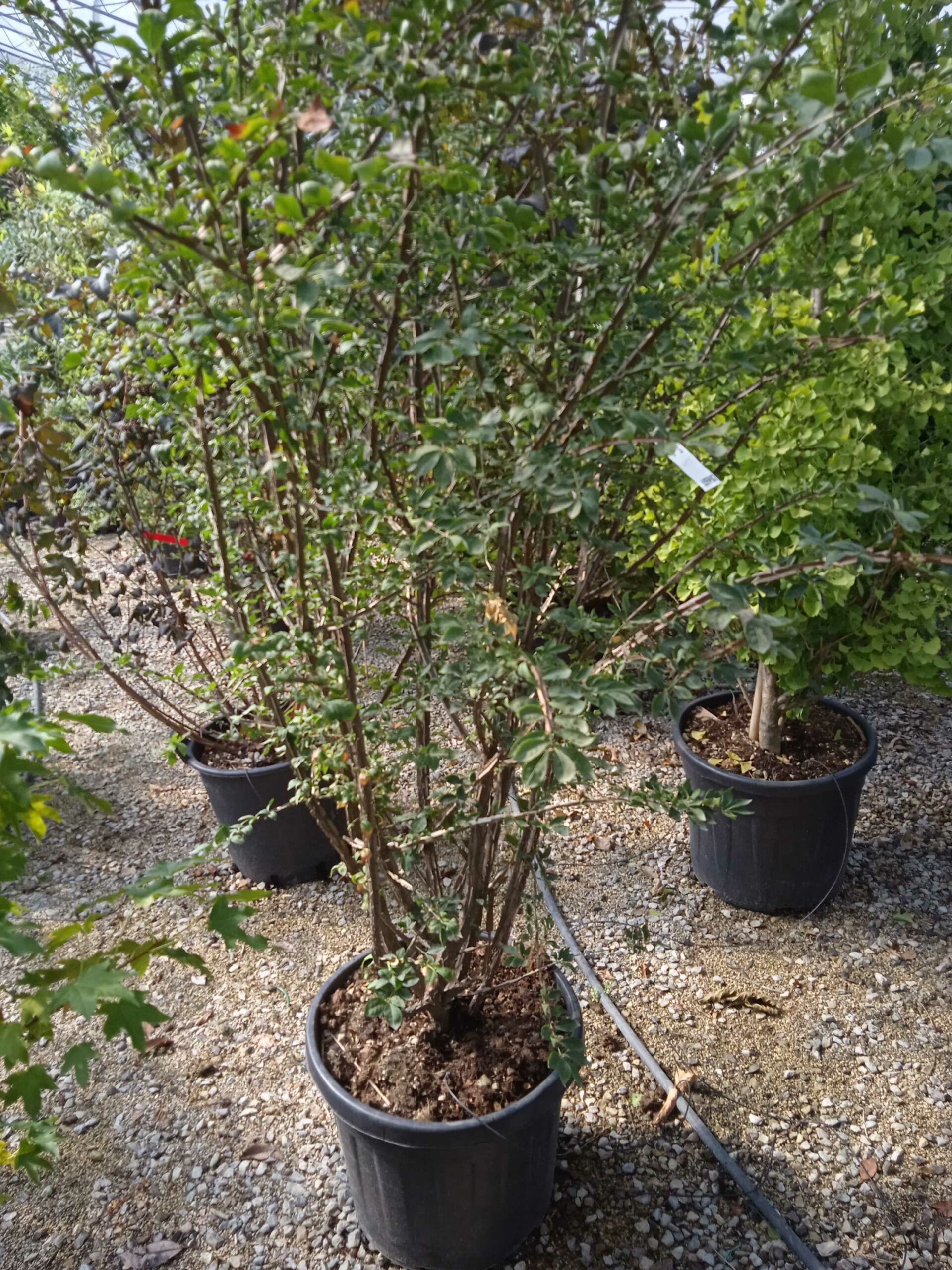 1662368394 scaled 1930633f