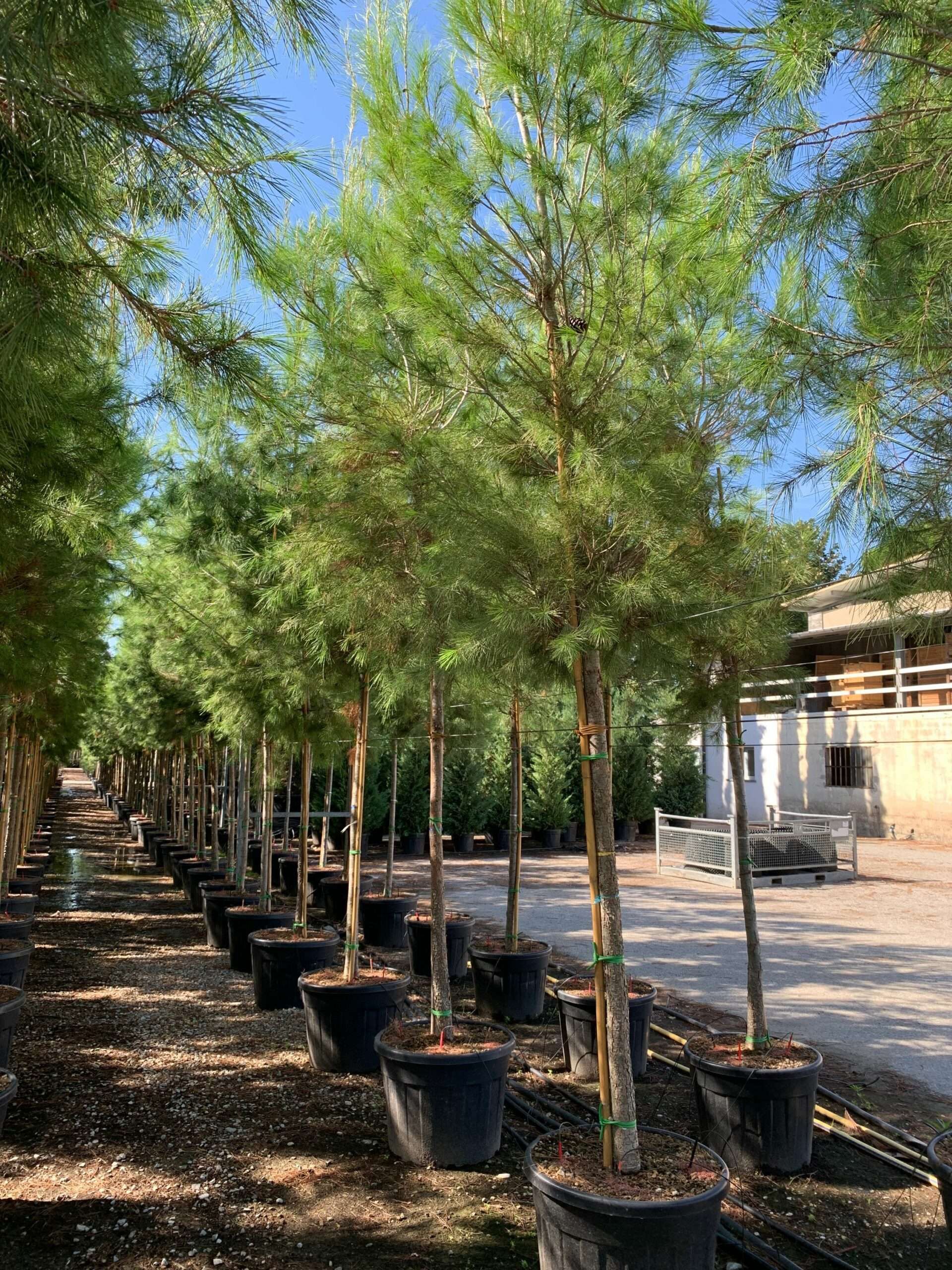 1662453287 scaled 19f841ab