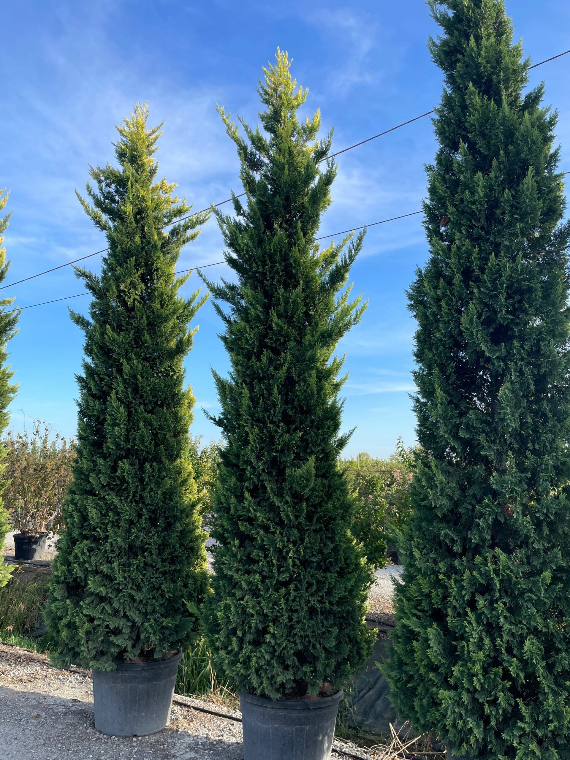 1663085036 scaled 19cf1aae