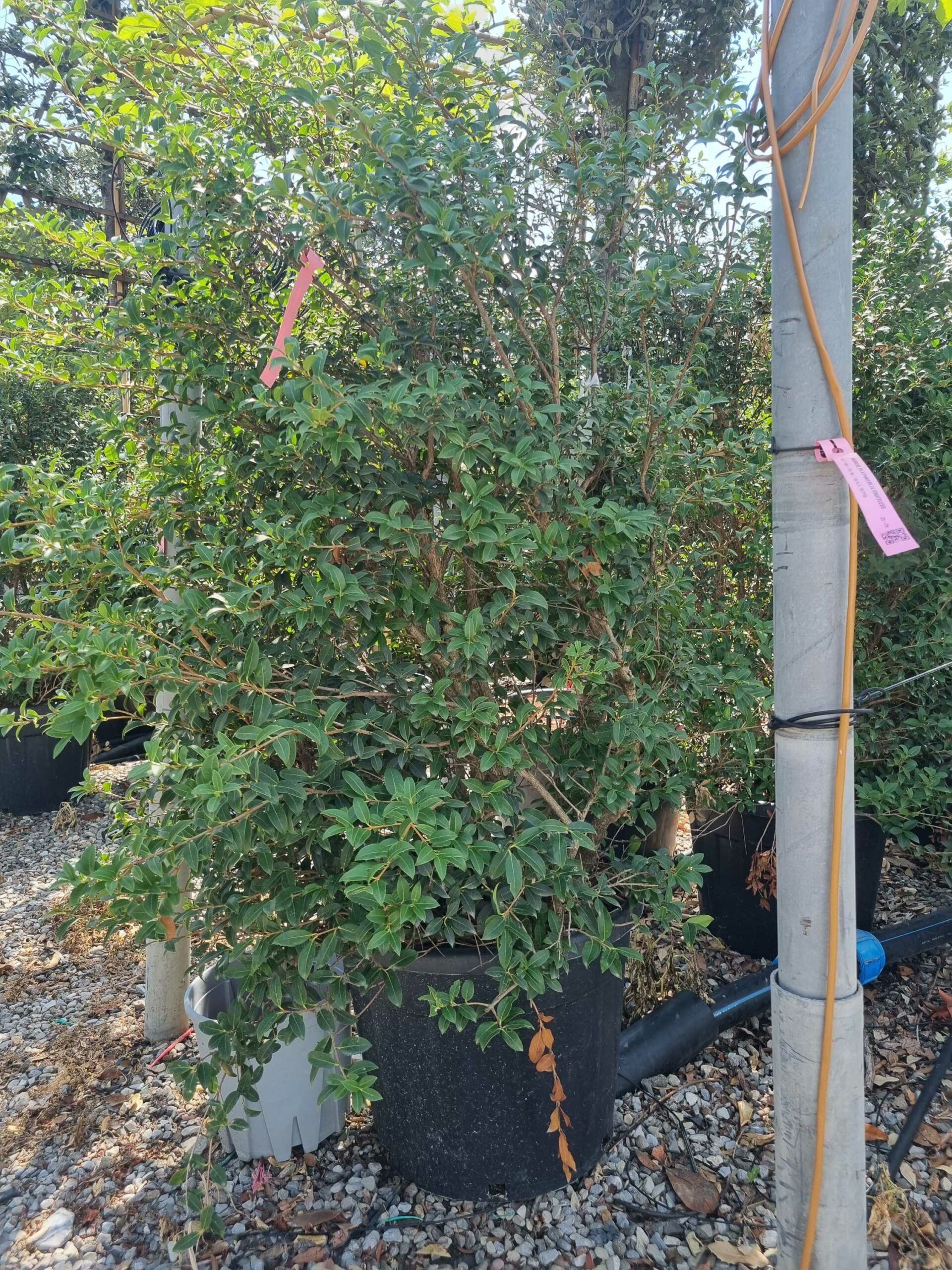 1690551923 scaled 192c9ea7