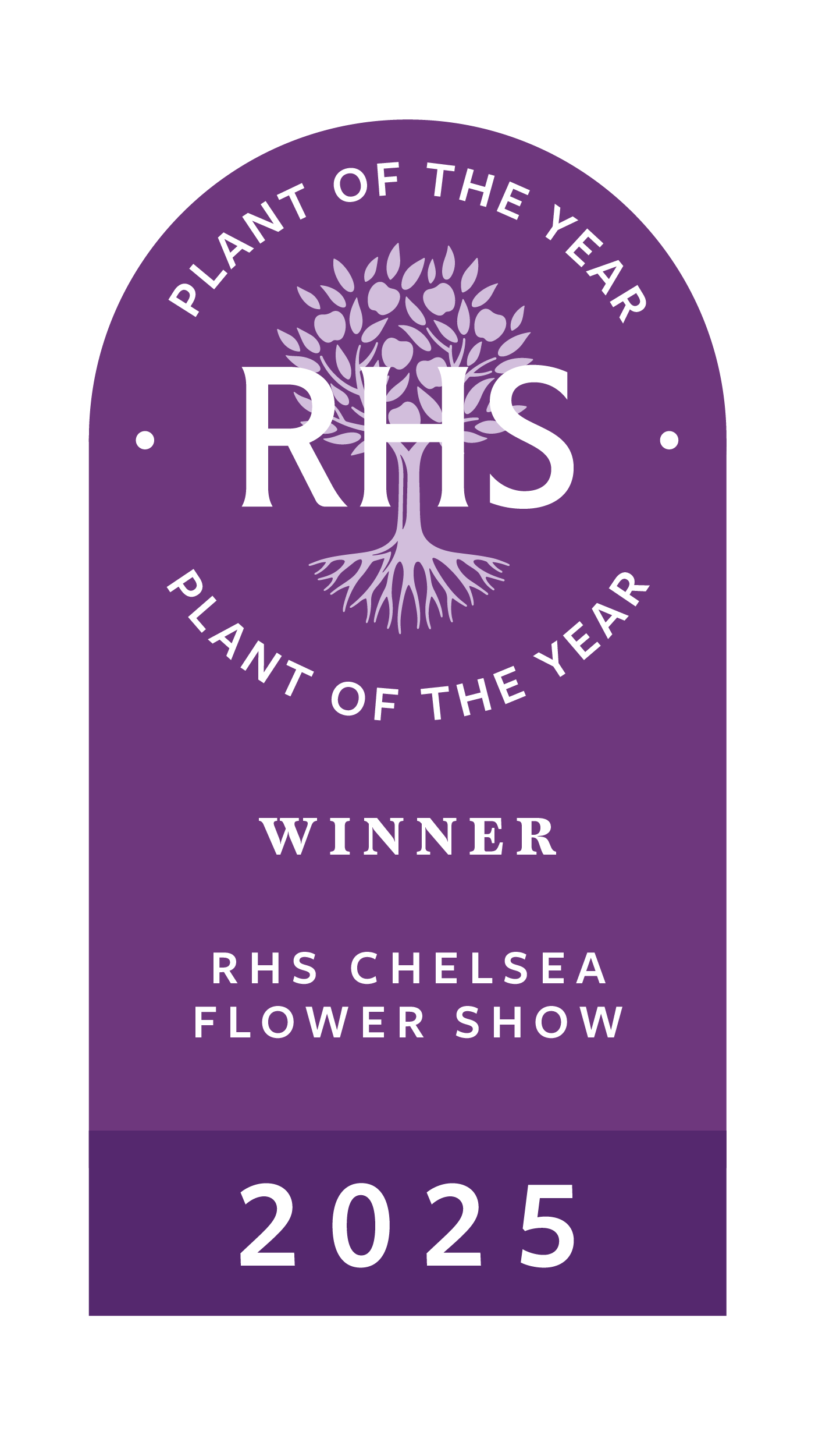 PHILADELPHUS 'Petite Perfume Pink' ®