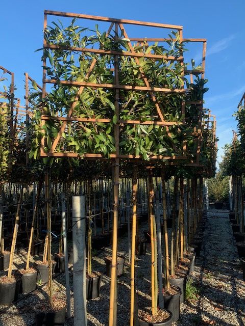 1610883910 IMG 8794 1af33c23