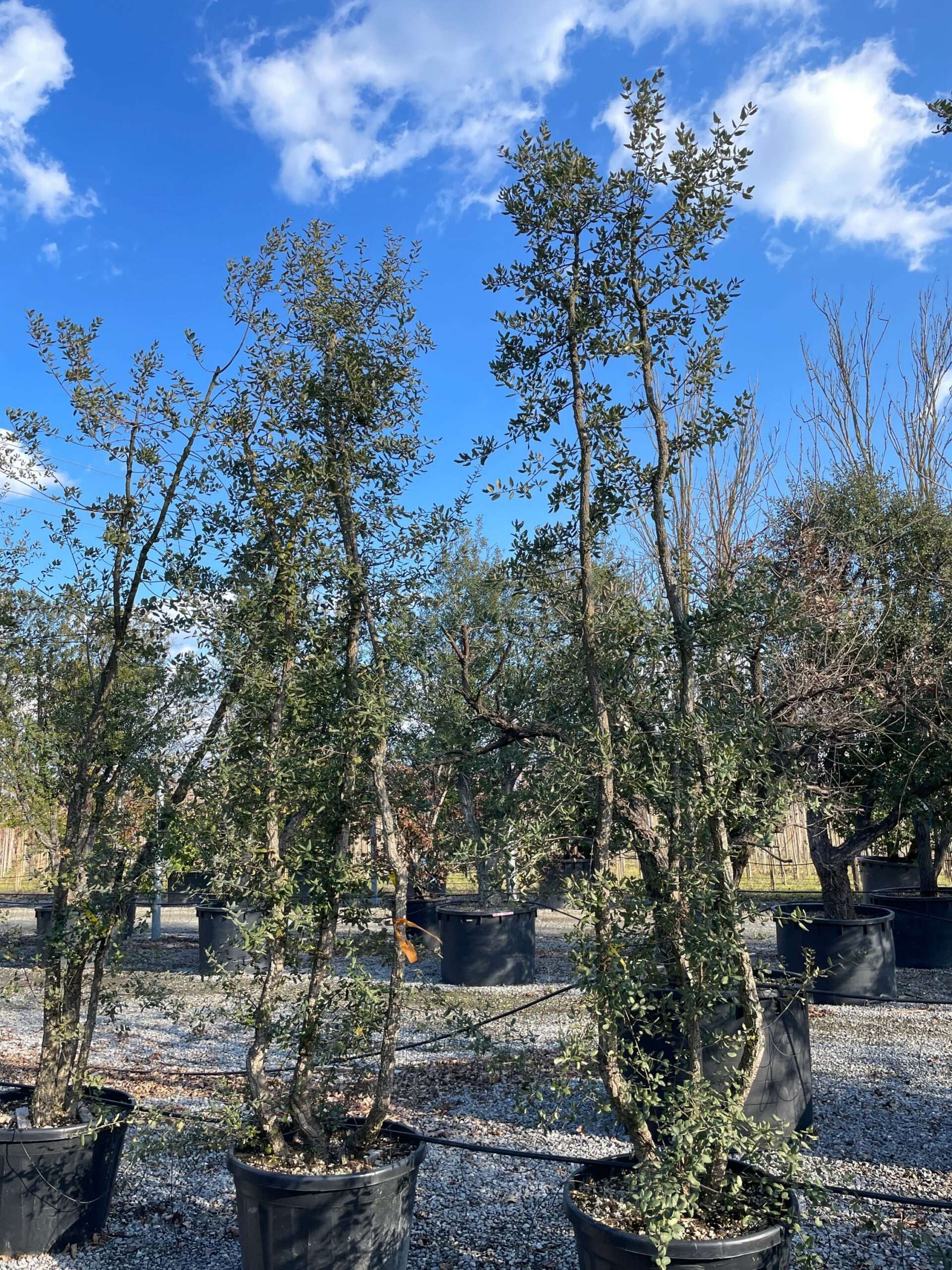 1644241278 scaled 1a706e07