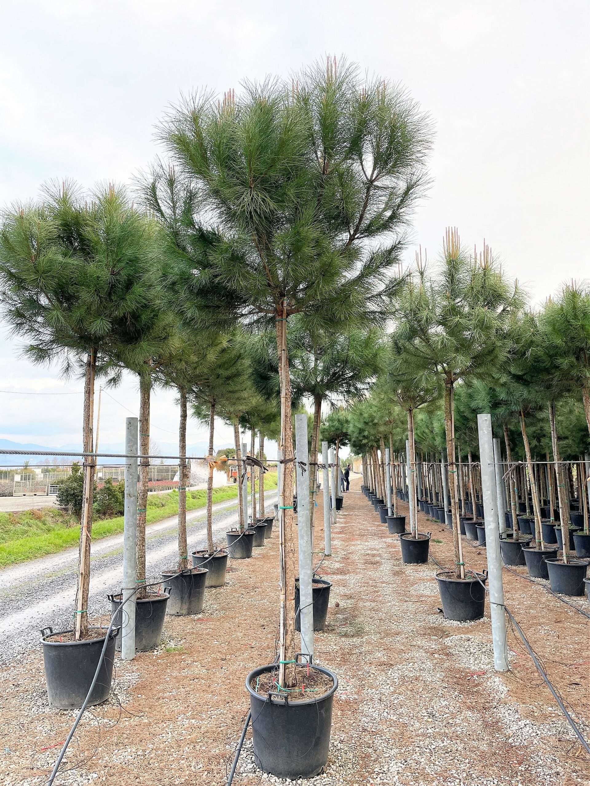 1652374364 scaled 1ad827dd