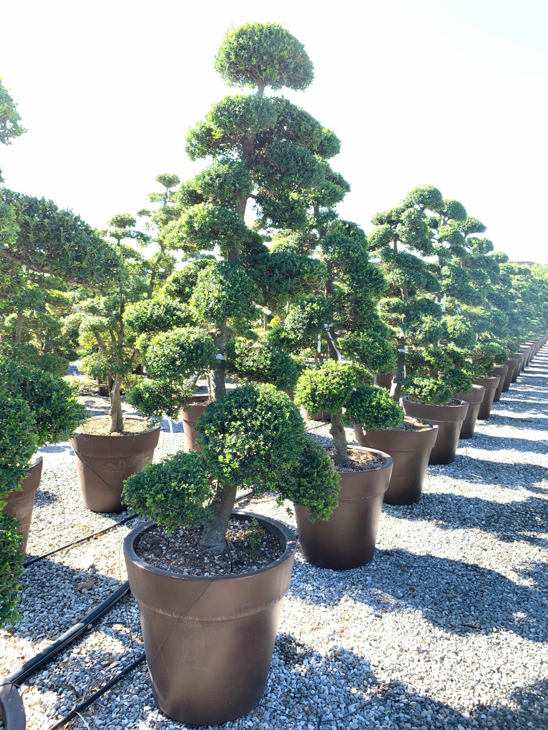 1659599539 1 scaled 1acd19b0