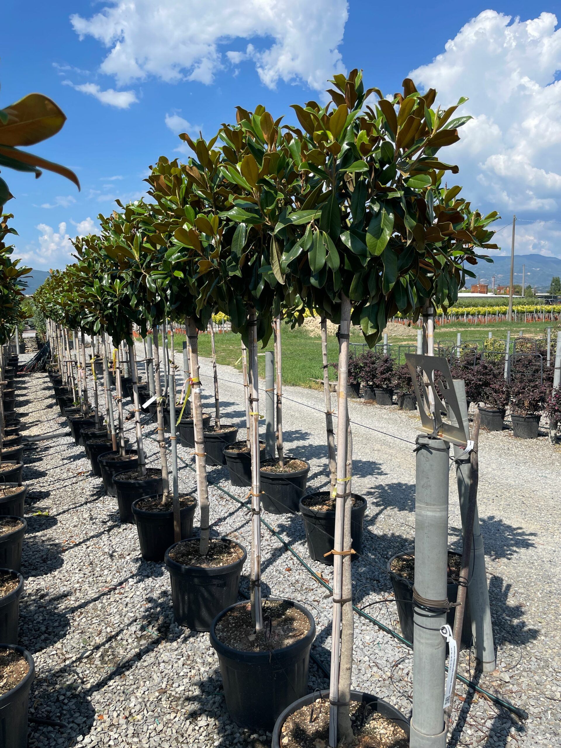 1661509104 scaled 1af88d11