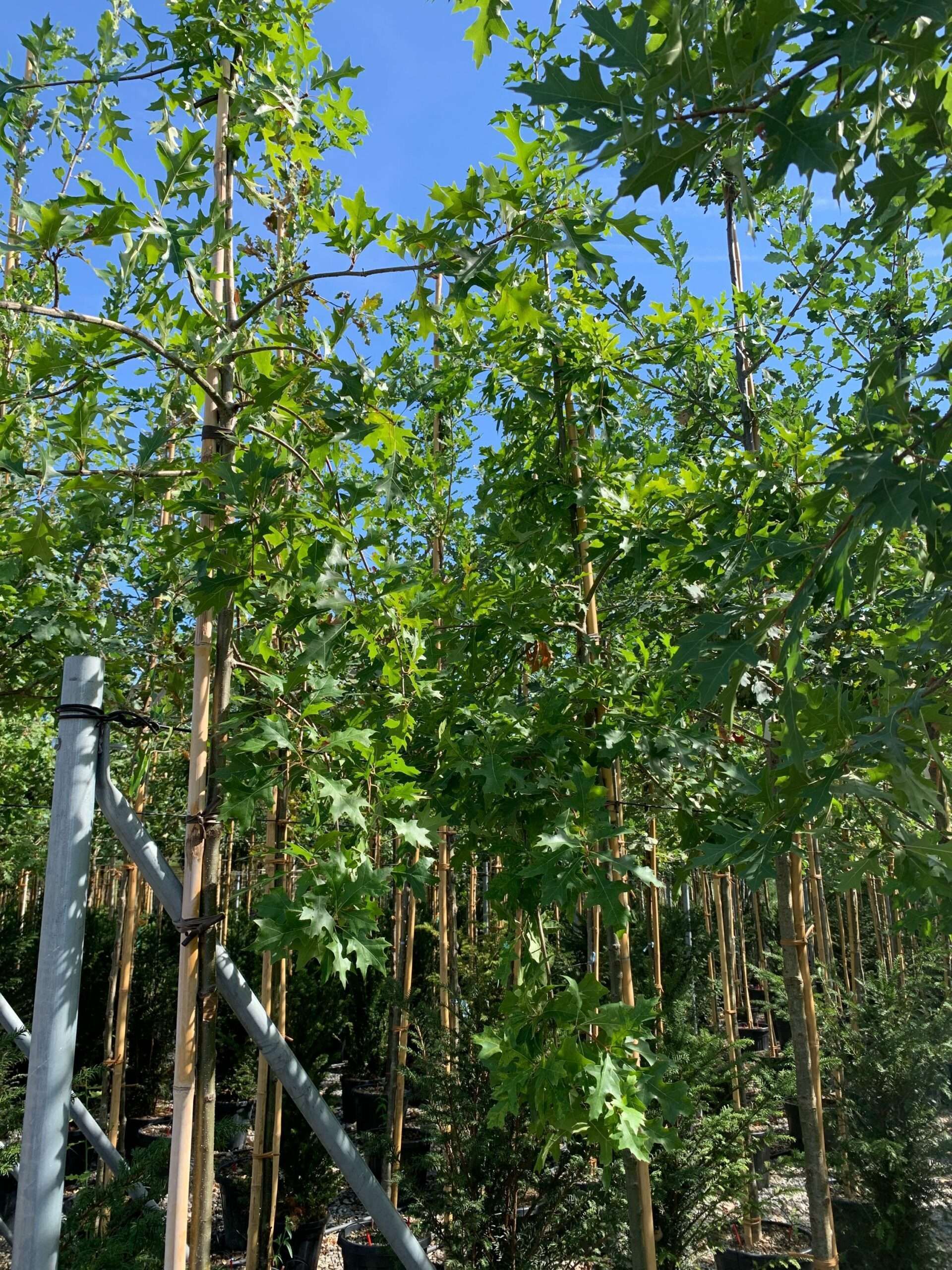 1662455469 scaled 1af0523c