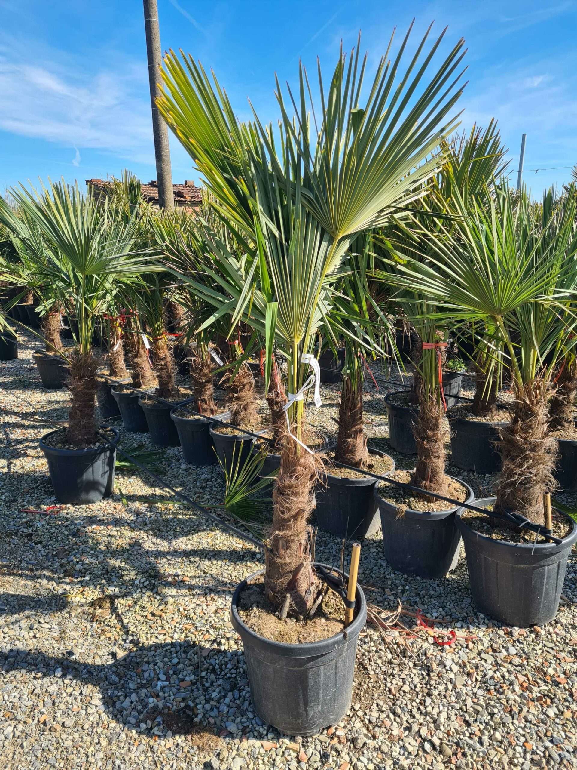 1680012022 scaled 1a8daff7