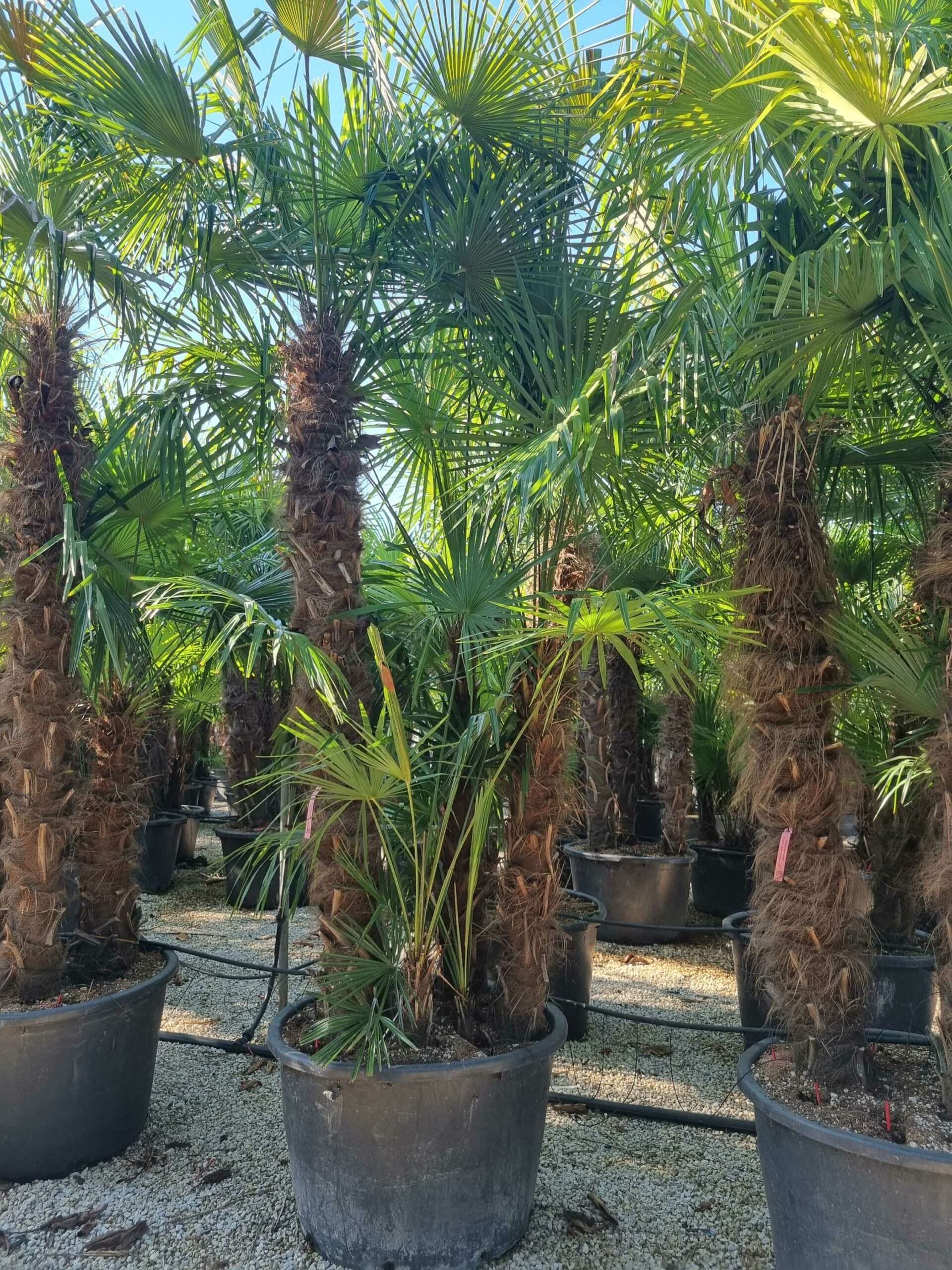 1692686866 scaled 1abb541f