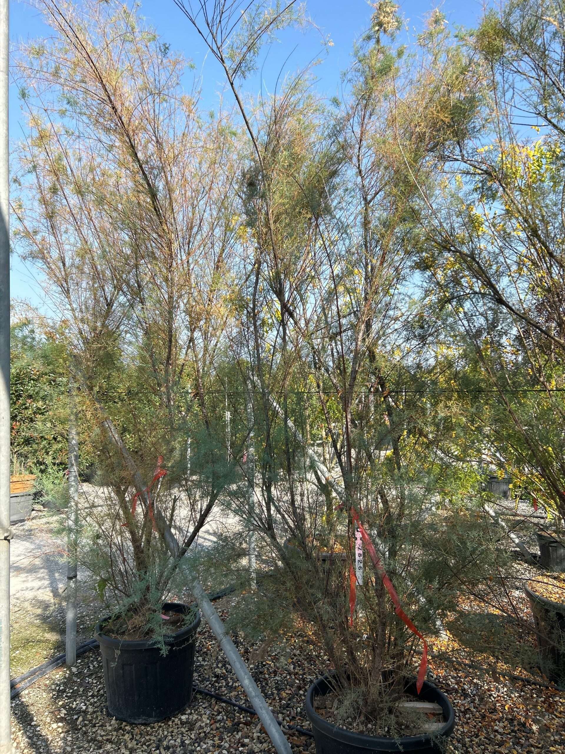 1696855643 scaled 1a170a65