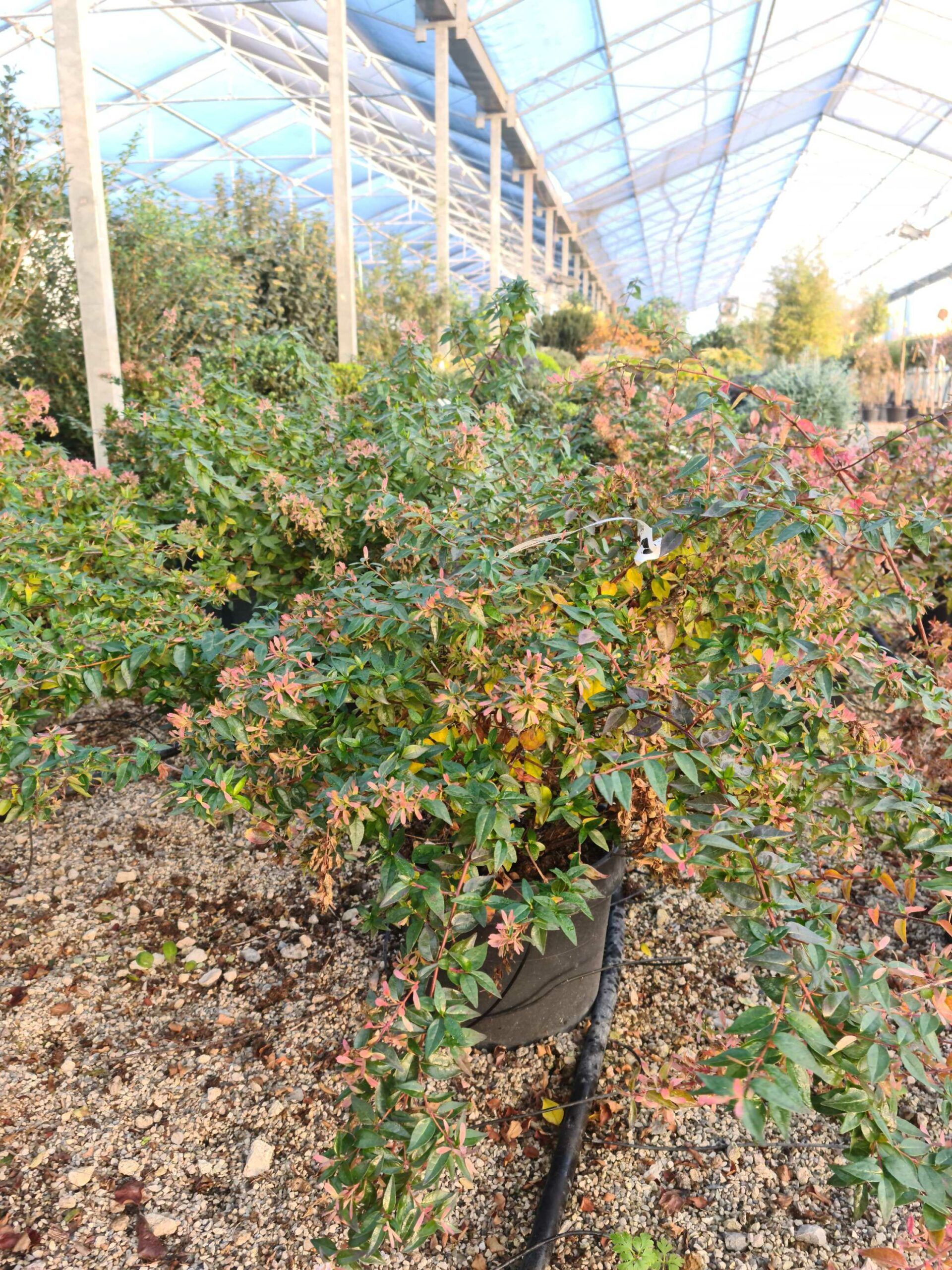 1639468914 scaled 1b3ef372