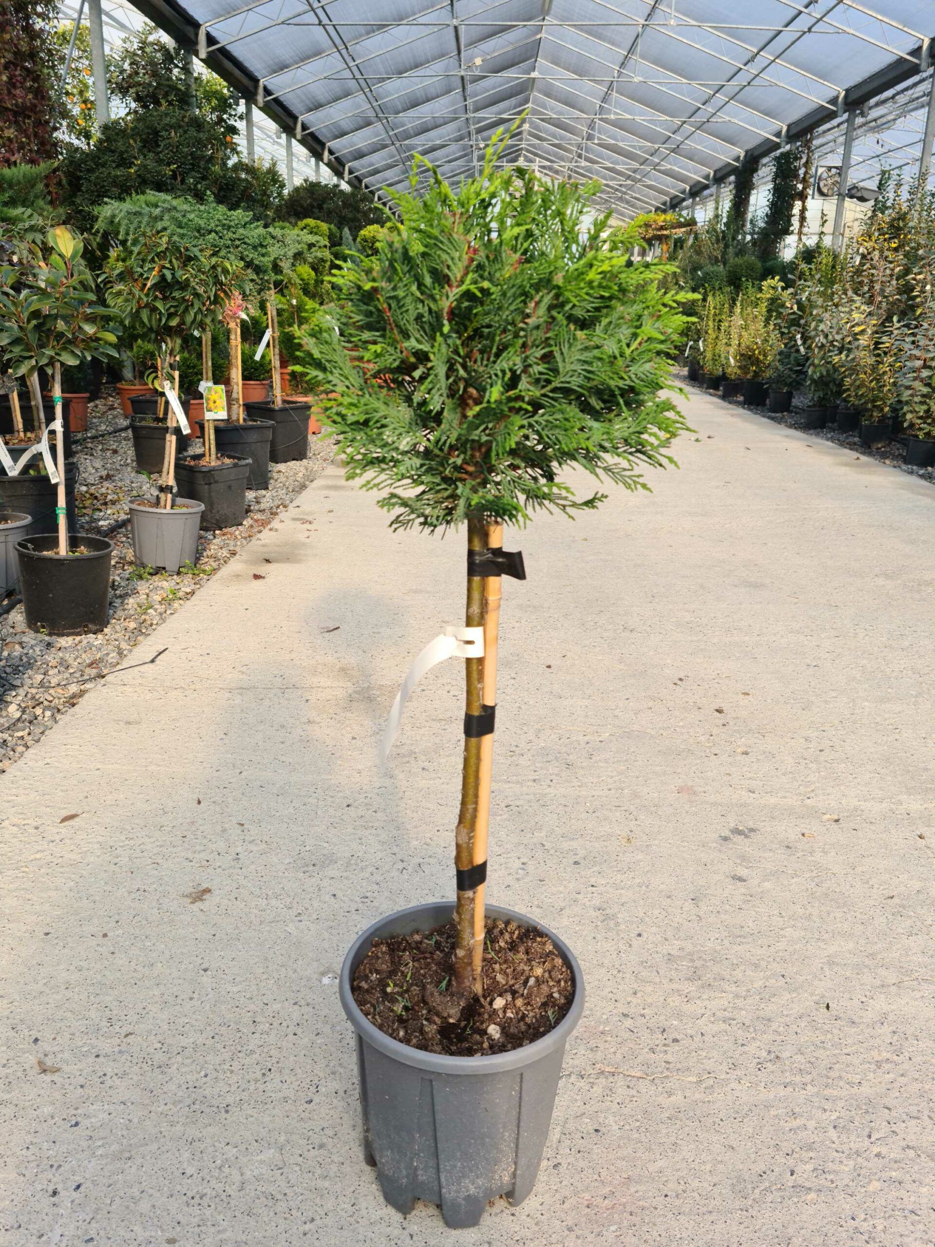 1639479573 scaled 1bbc58c4