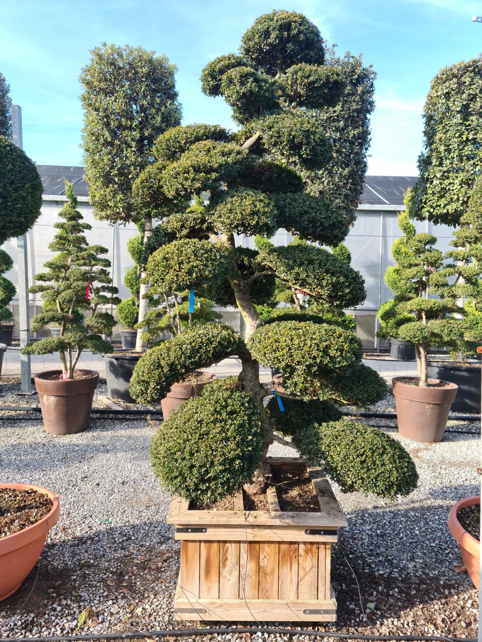 1639563573 scaled 1b96f566