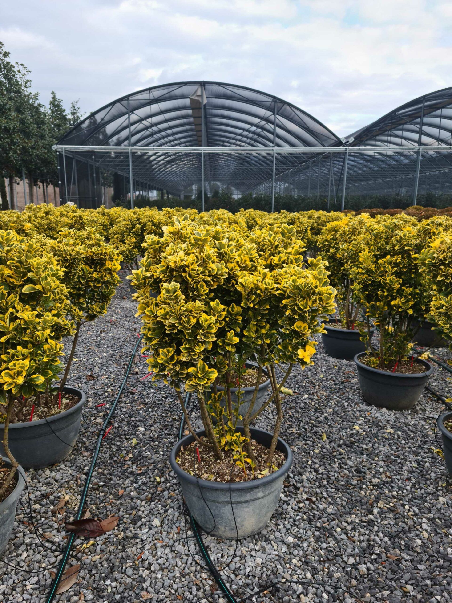 1640248068 scaled 1b3d8c4c