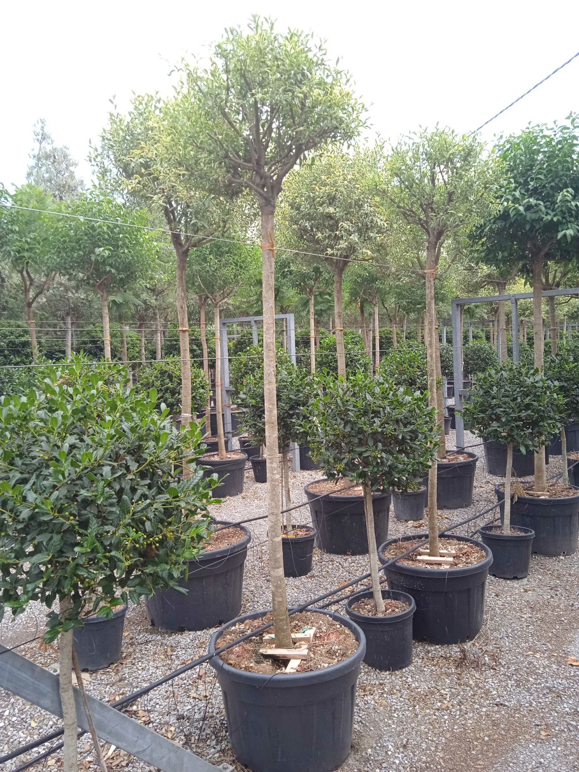 1661870926 scaled 1bbbc2b2