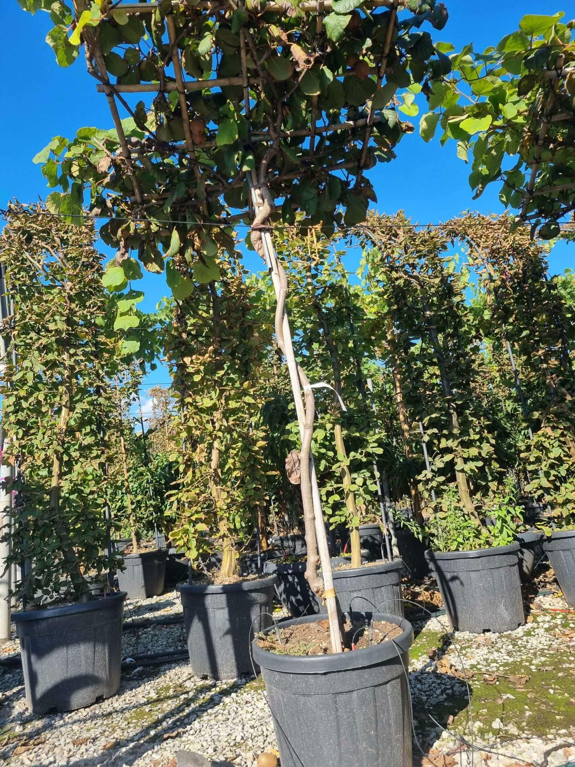 1664977429 scaled 1bf5a3fc