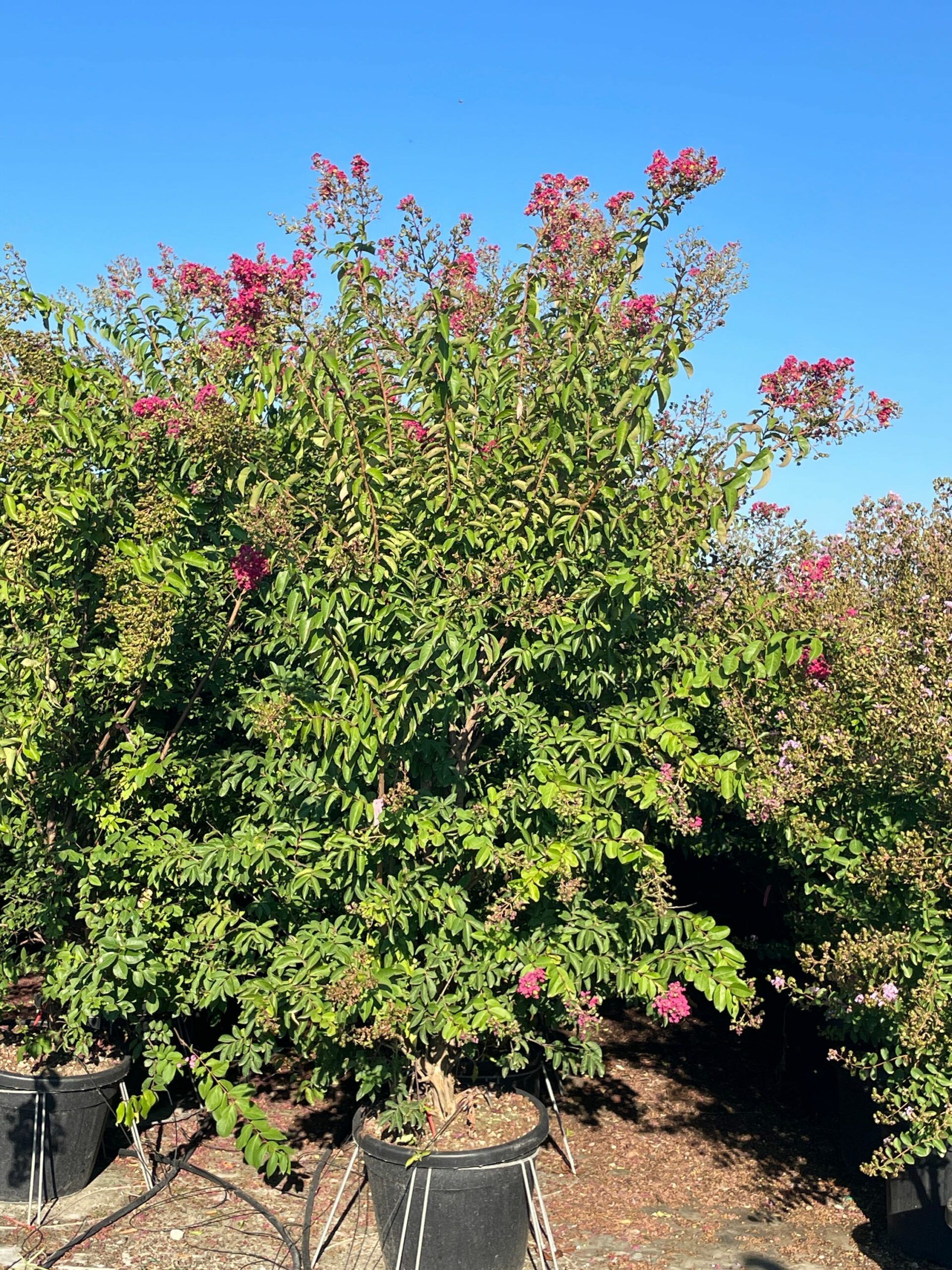 1692772577 scaled 1ba9f058