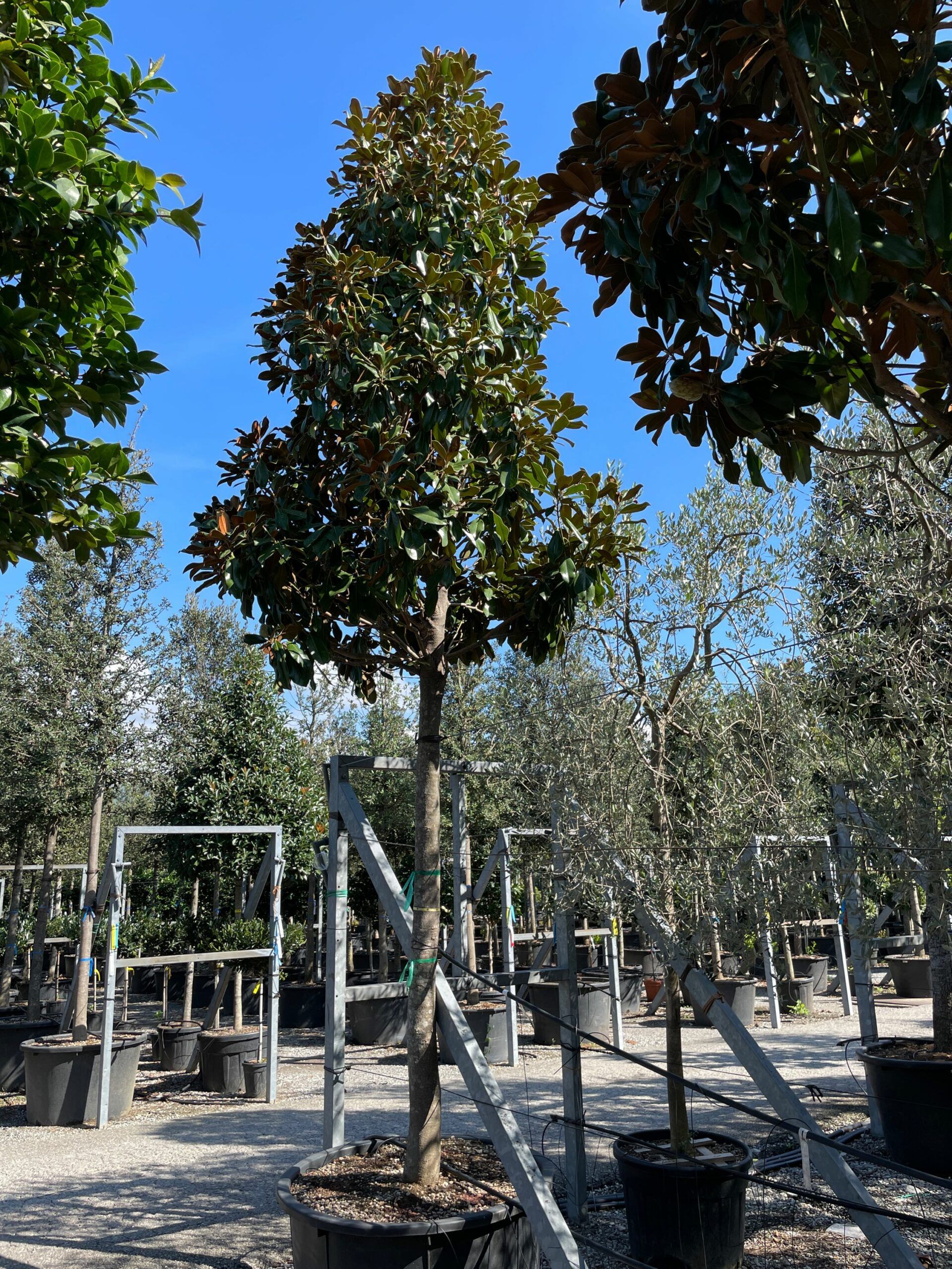 1633255498 1 scaled 1c60d052