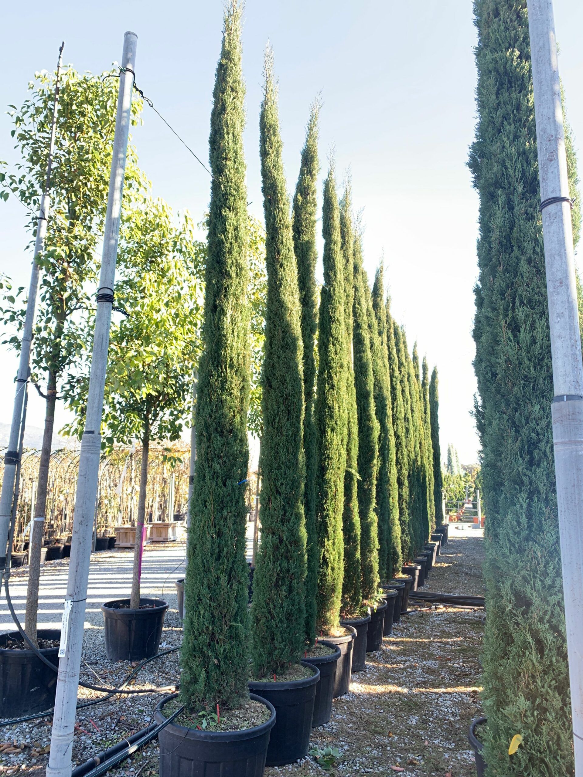 1637748240 scaled 1c70ad90