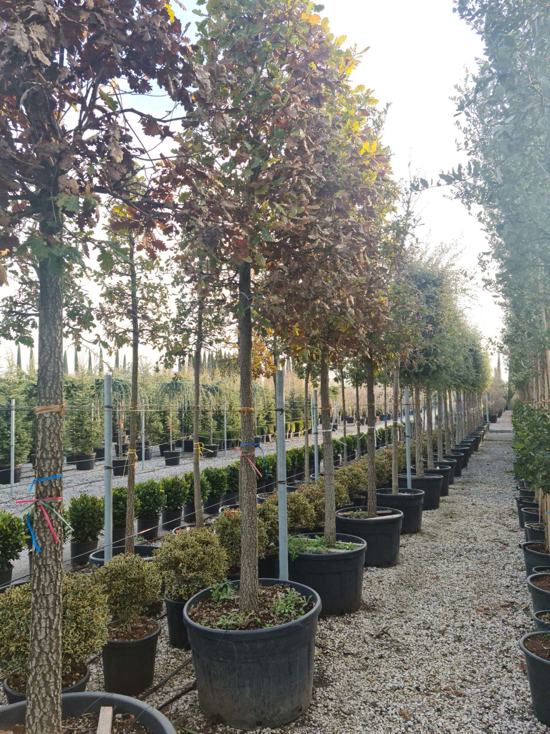 1639491340 scaled 1cea98c9