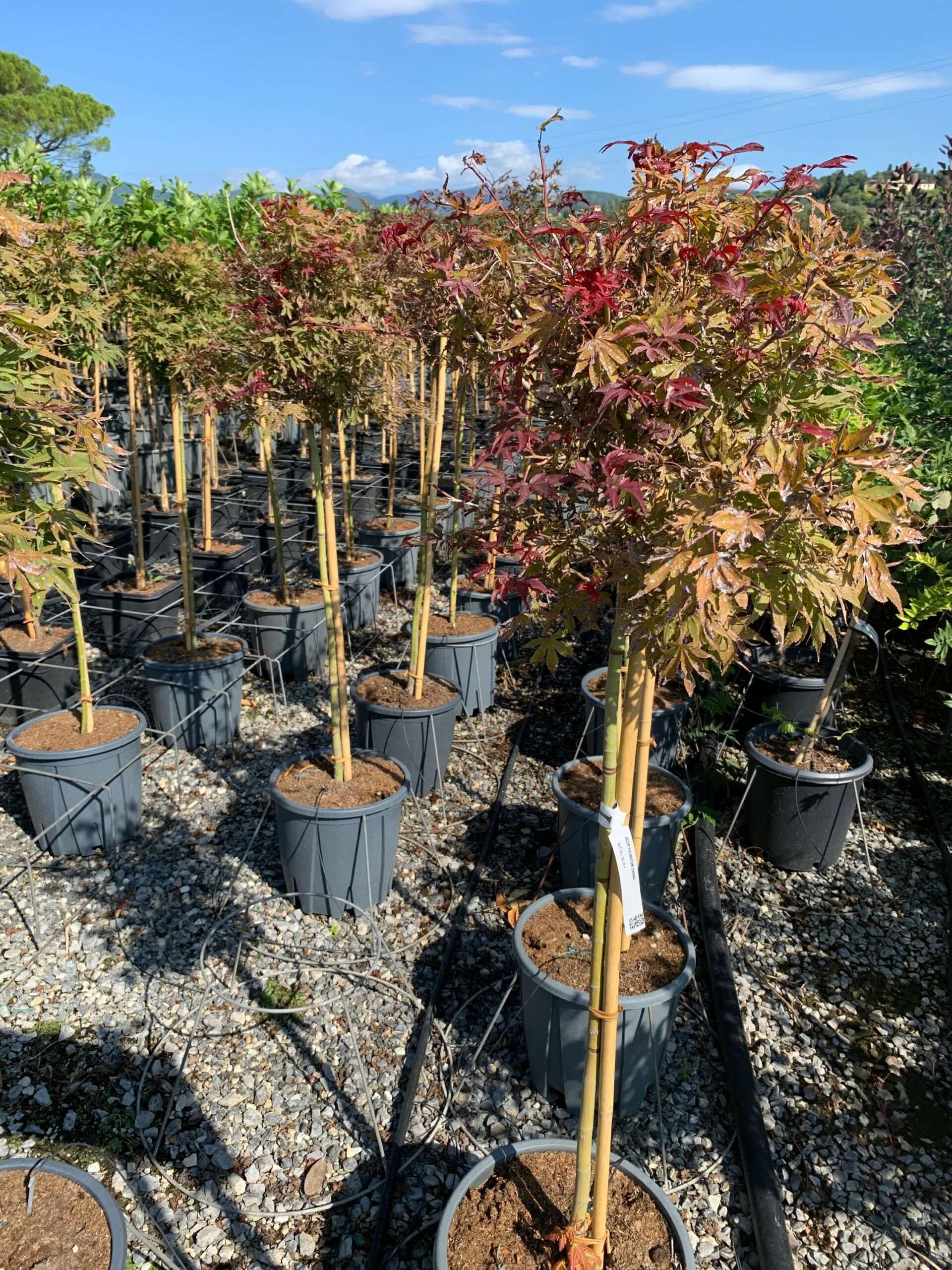 1662107960 scaled 1ce2a213