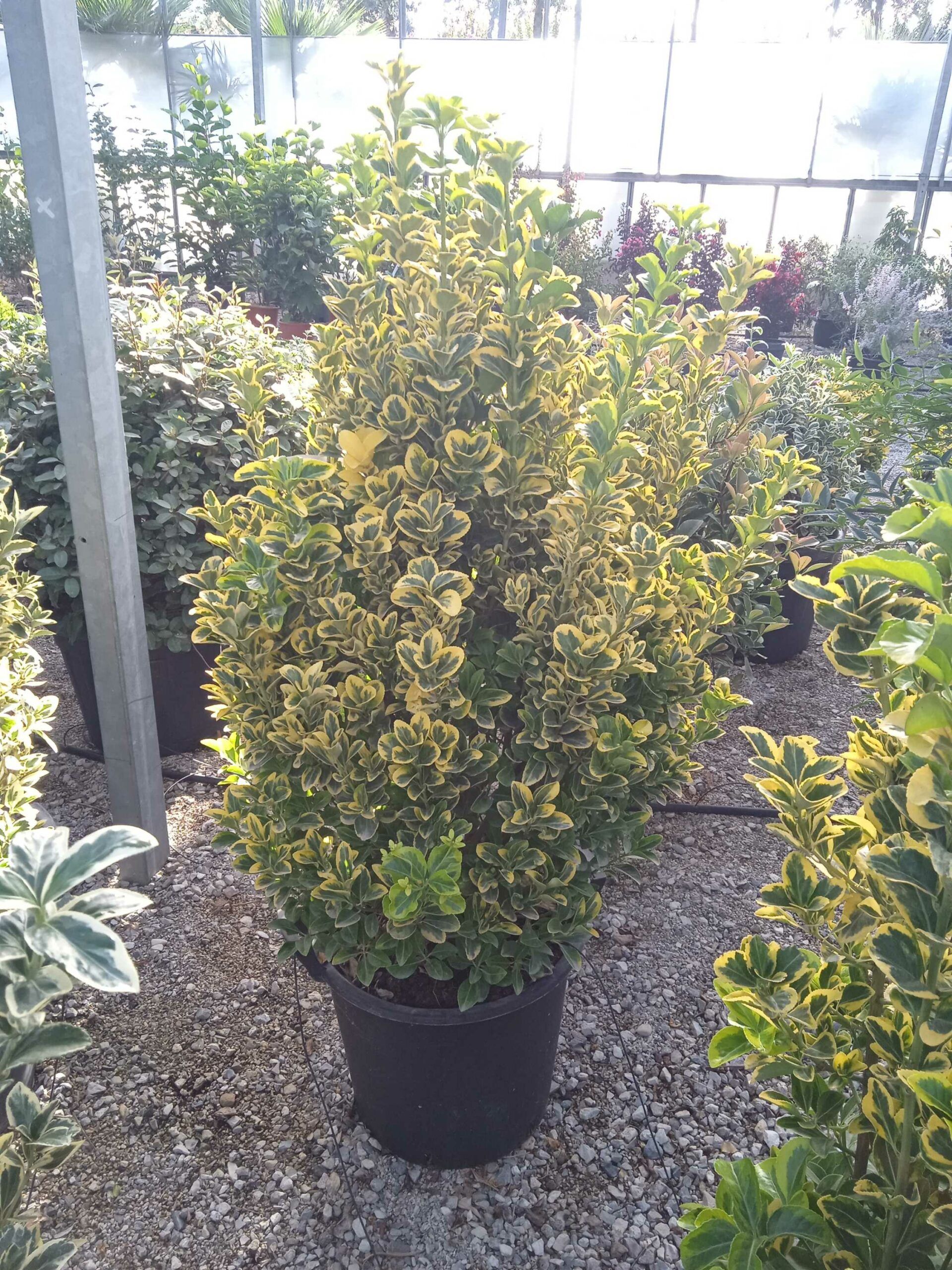 1662445662 scaled 1c4f45ab