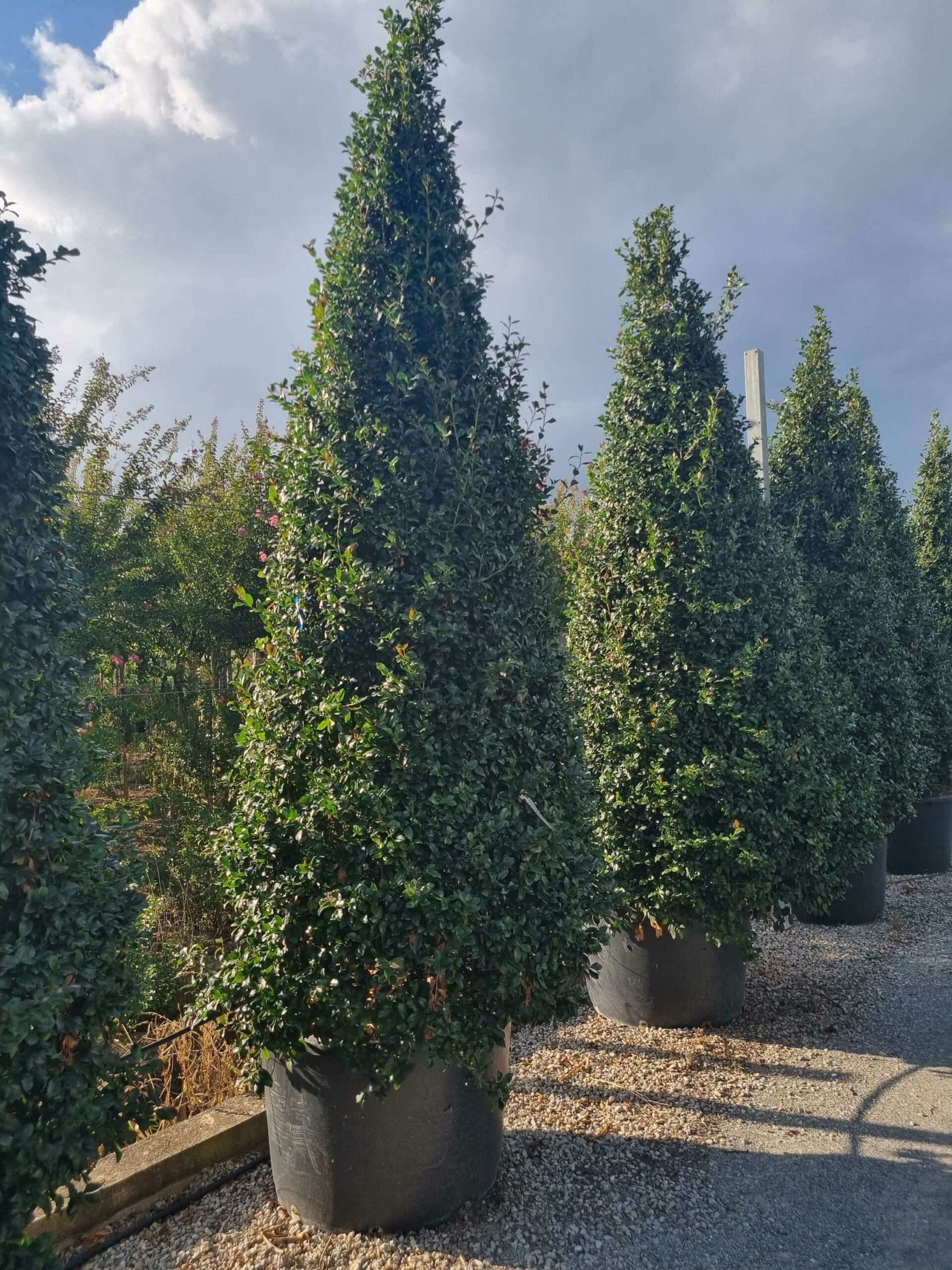 1663342140 scaled 1c2b99bf