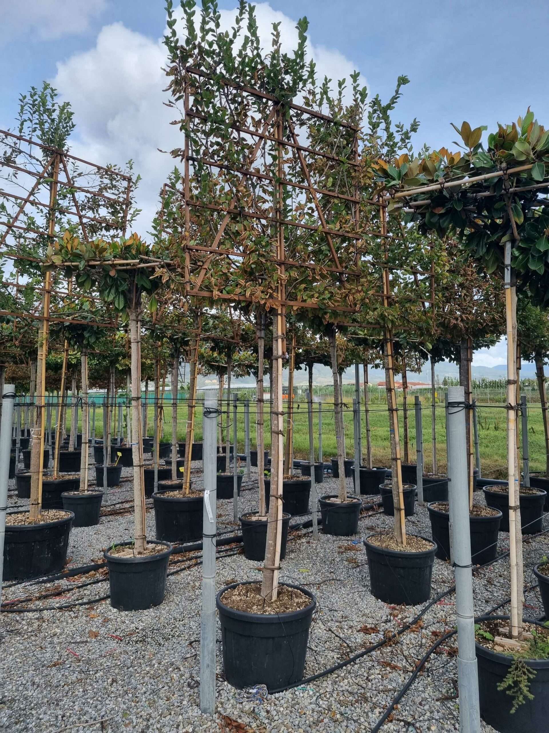 1664459517 scaled 1ce66965