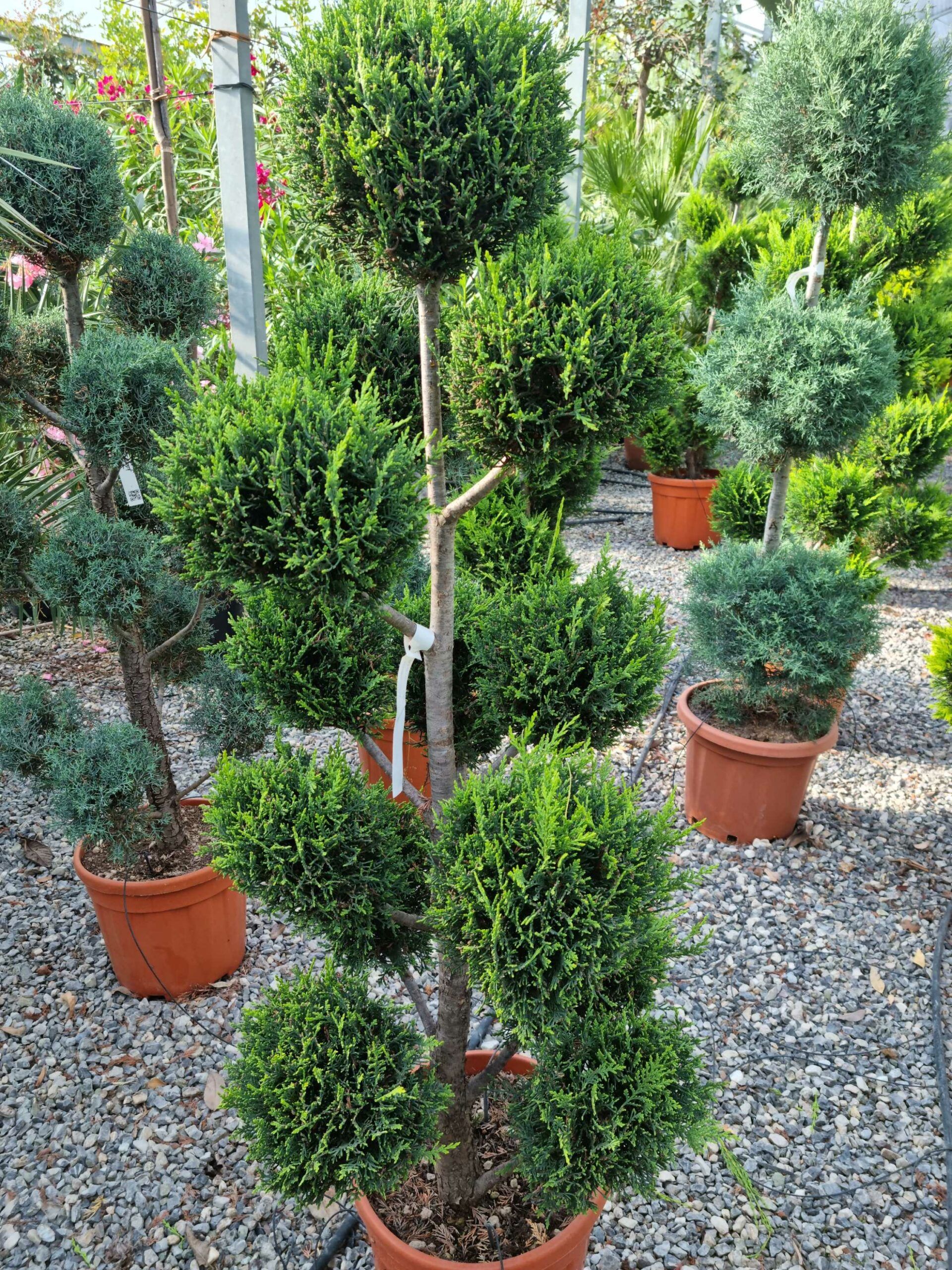 1683180182 scaled 1c27c4e3