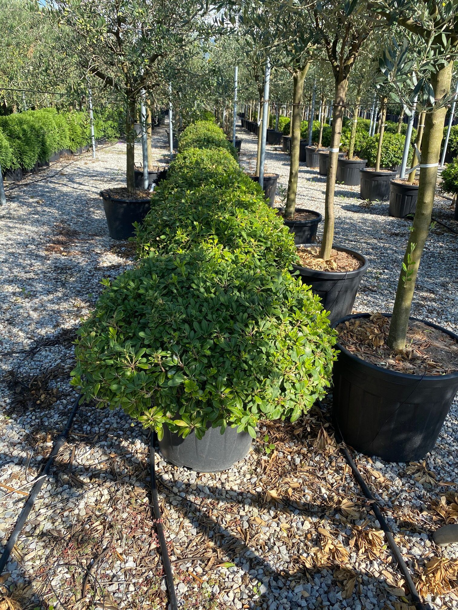 1608570696 rotated 1df93476