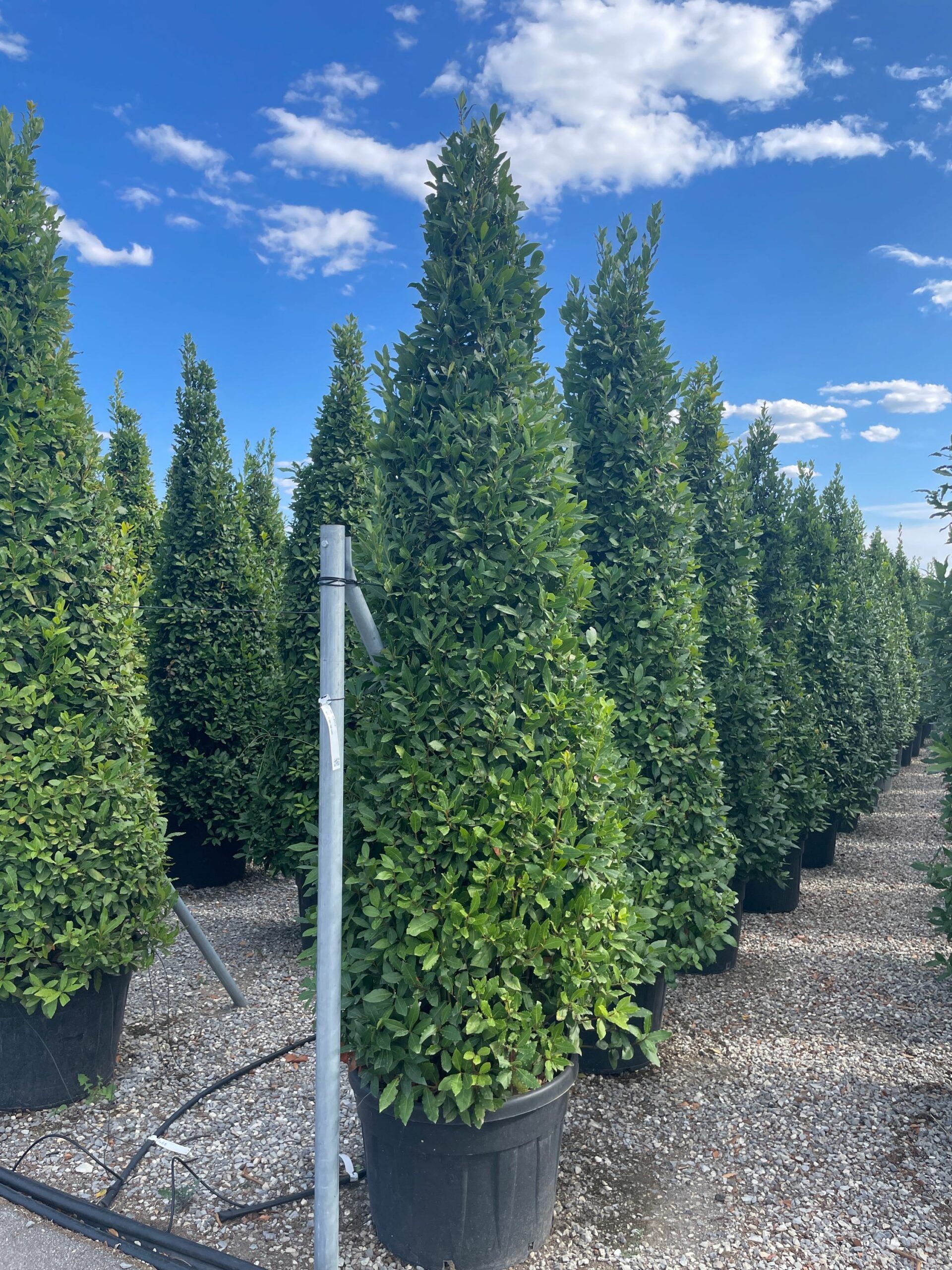 1630593181 scaled 1d23f703