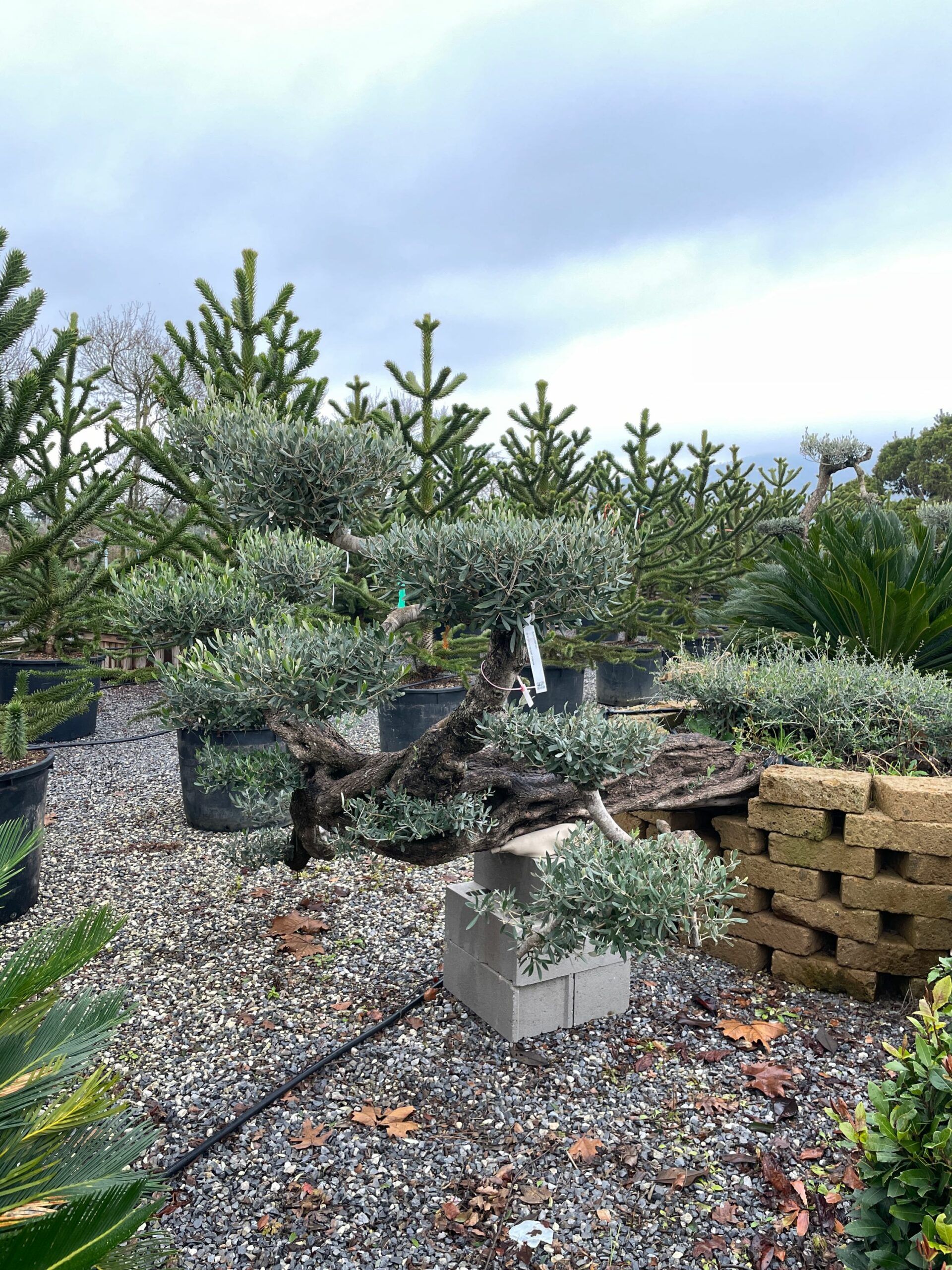 1641210762 scaled 1d34f4d9